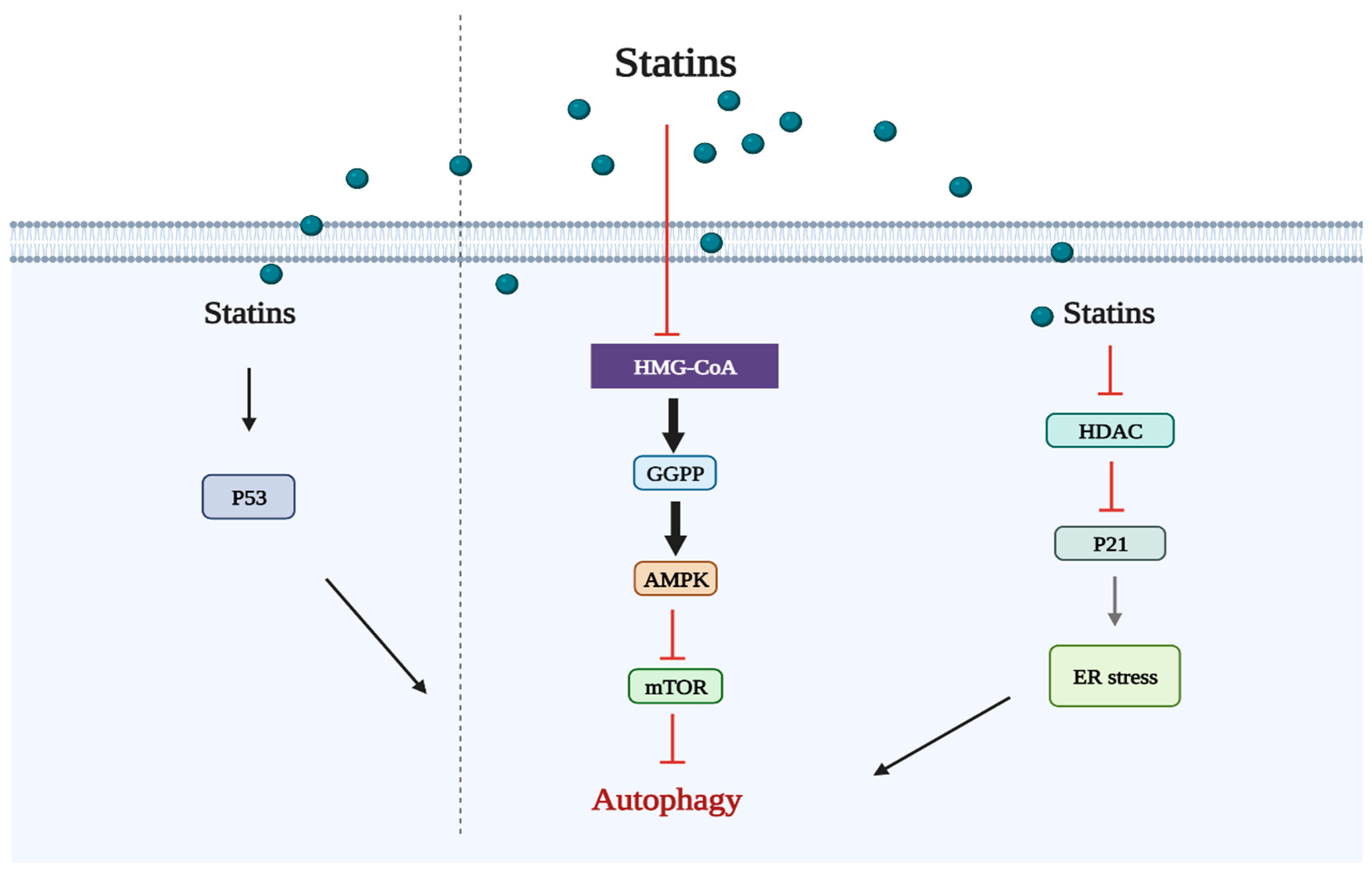 Cancers 15 04787 g003