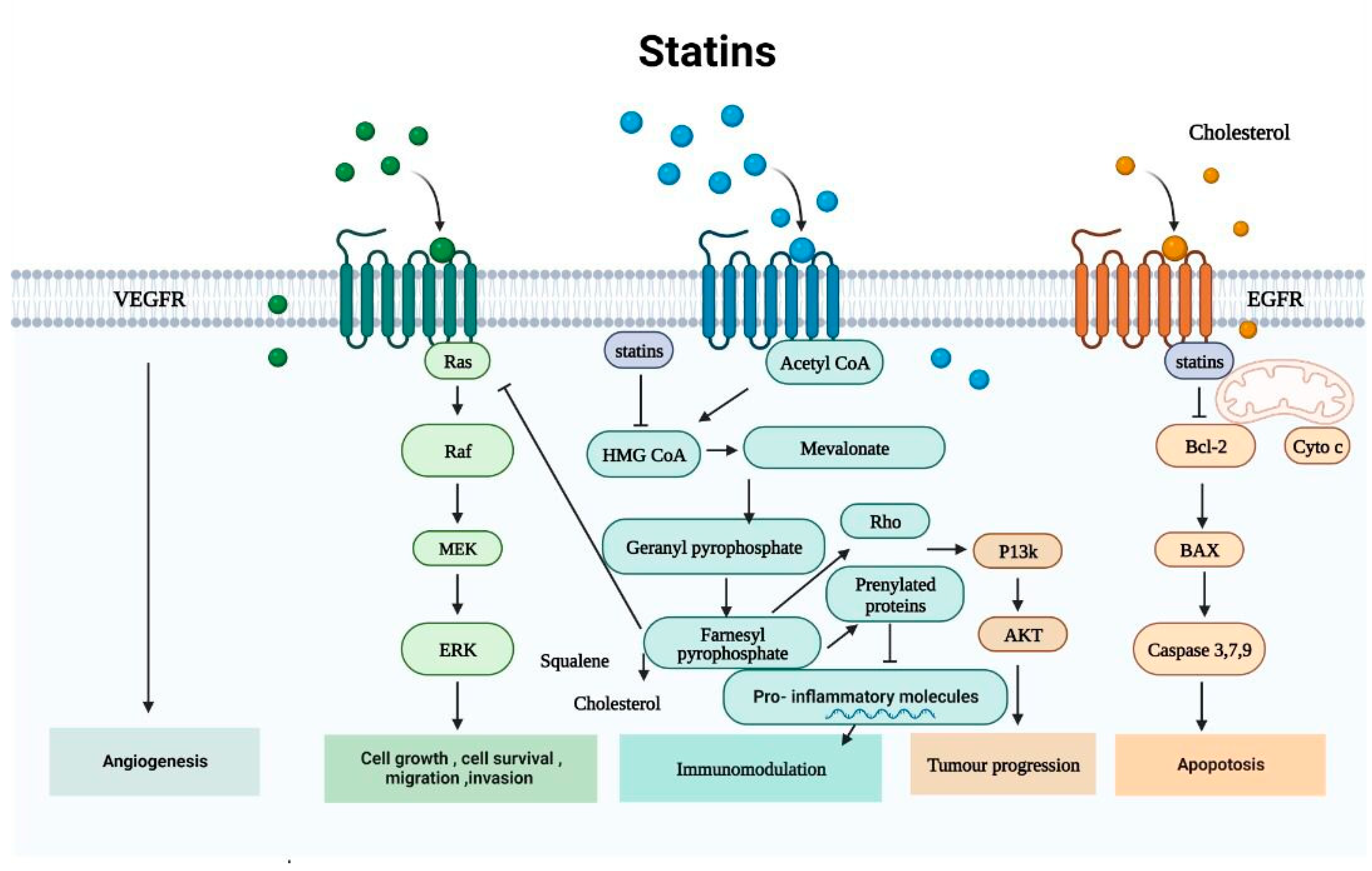 Cancers 15 04787 g005