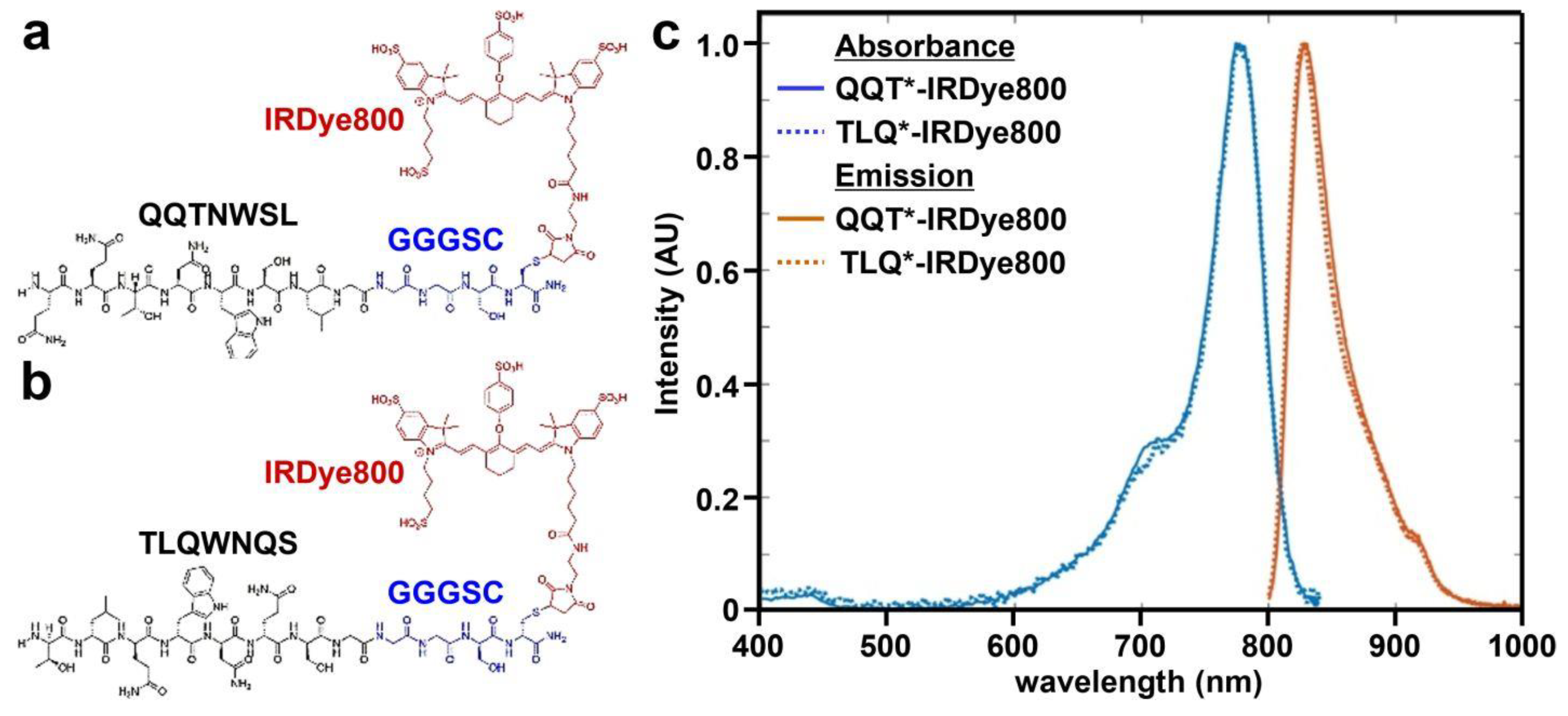 Cancers 15 04795 g001