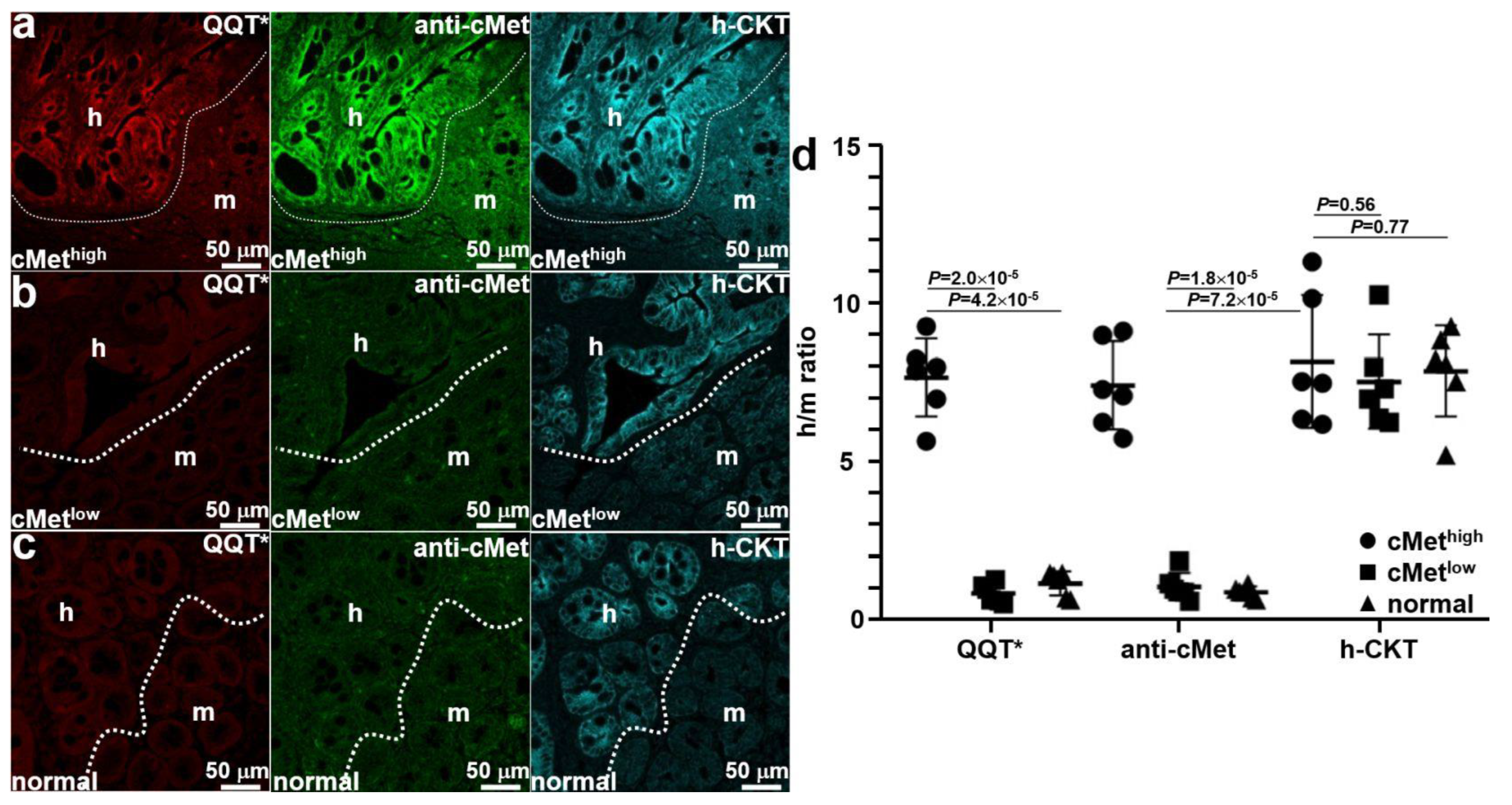 Cancers 15 04795 g006