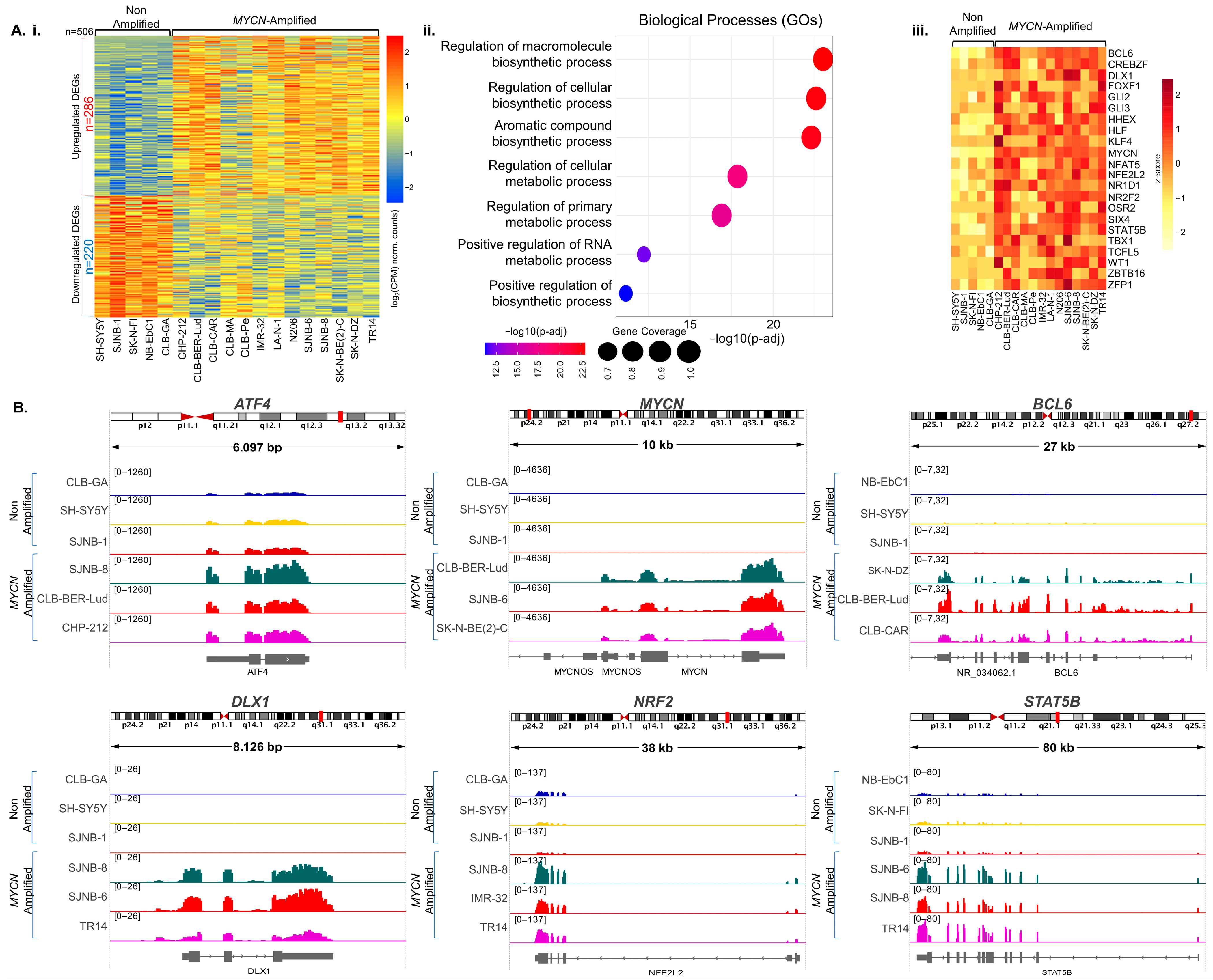 Cancers 15 04803 g001