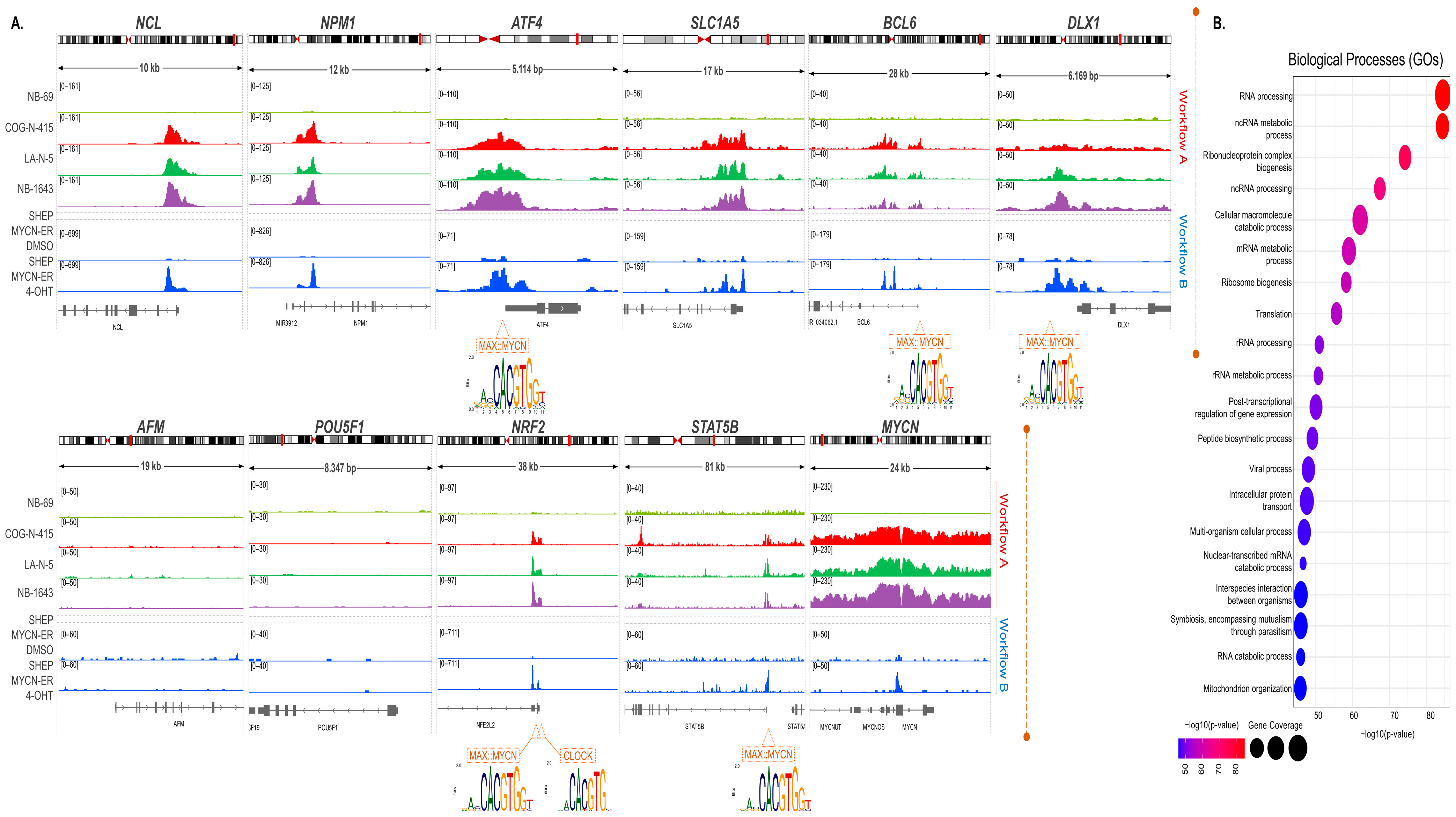 Cancers 15 04803 g002
