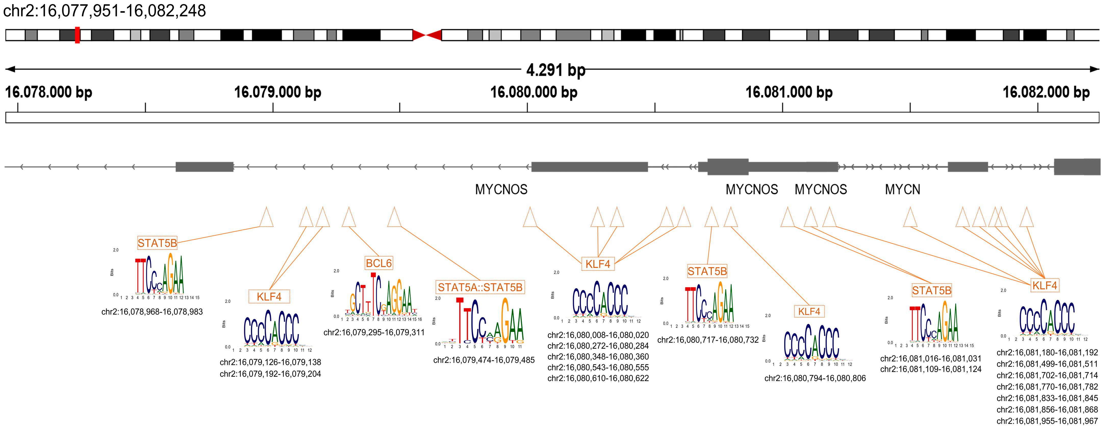 Cancers 15 04803 g003