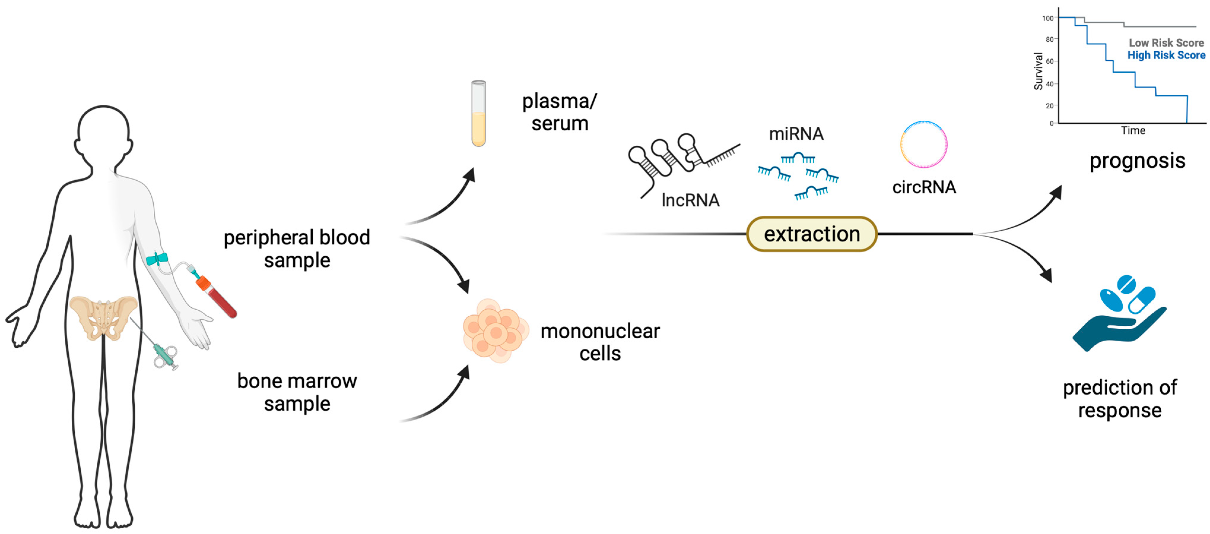 Cancers 15 04810 g001