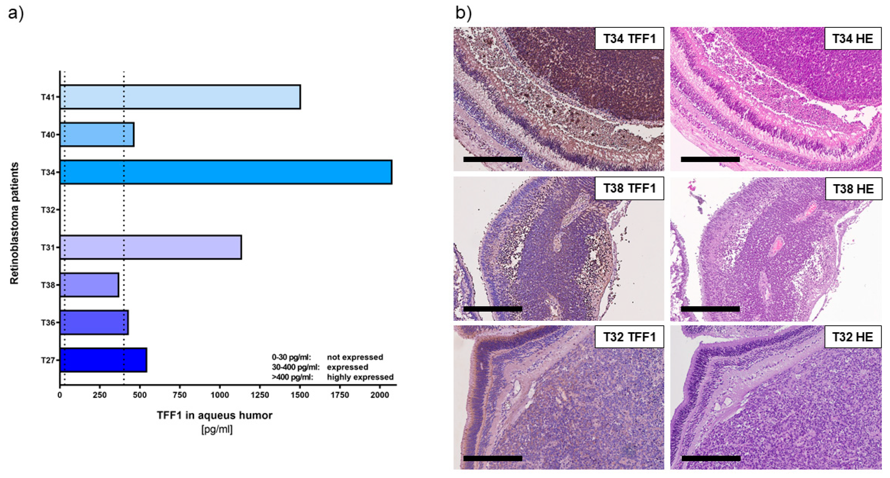 Cancers 15 04828 g002