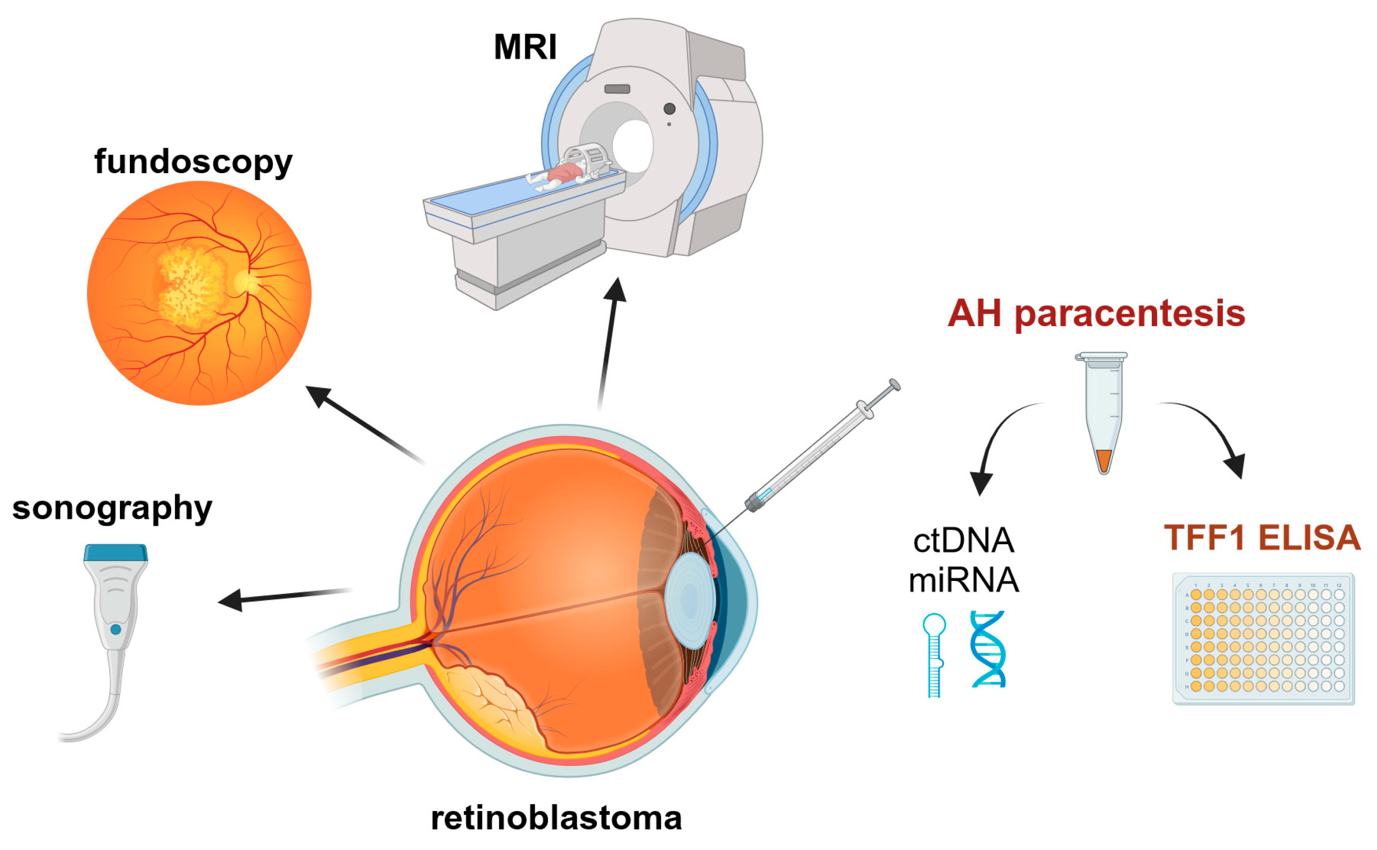Cancers 15 04828 g006