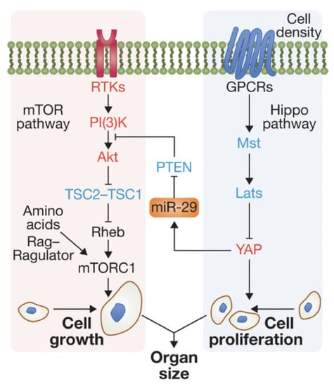 Cancers 15 04840 g001