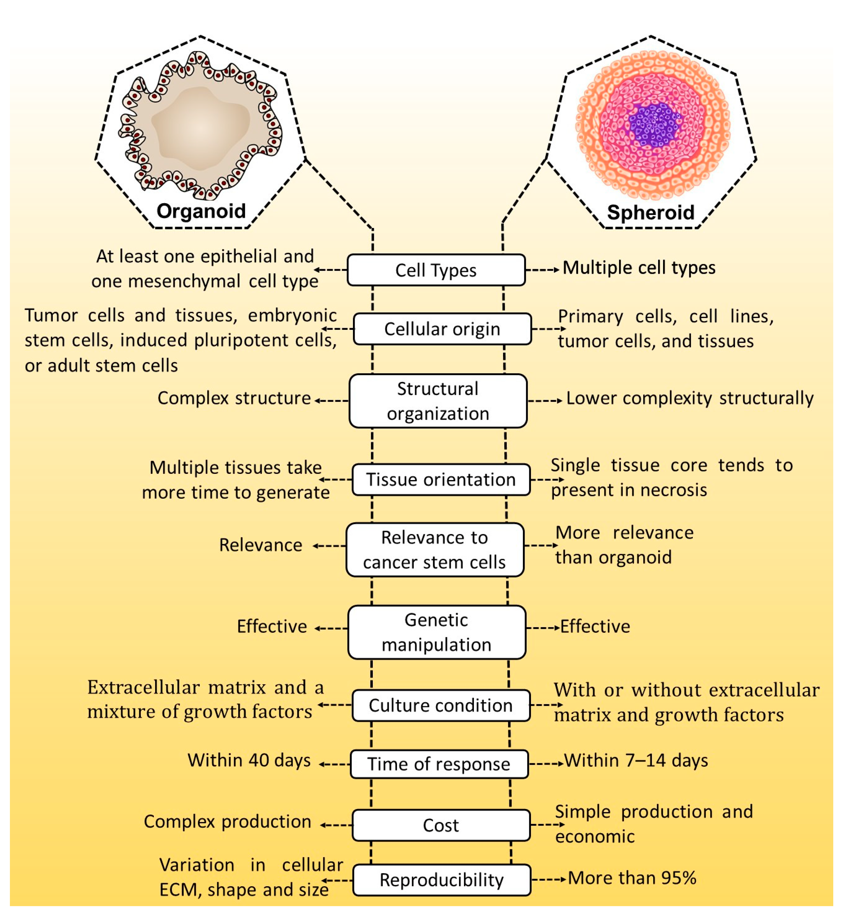 Cancers 15 04846 g001