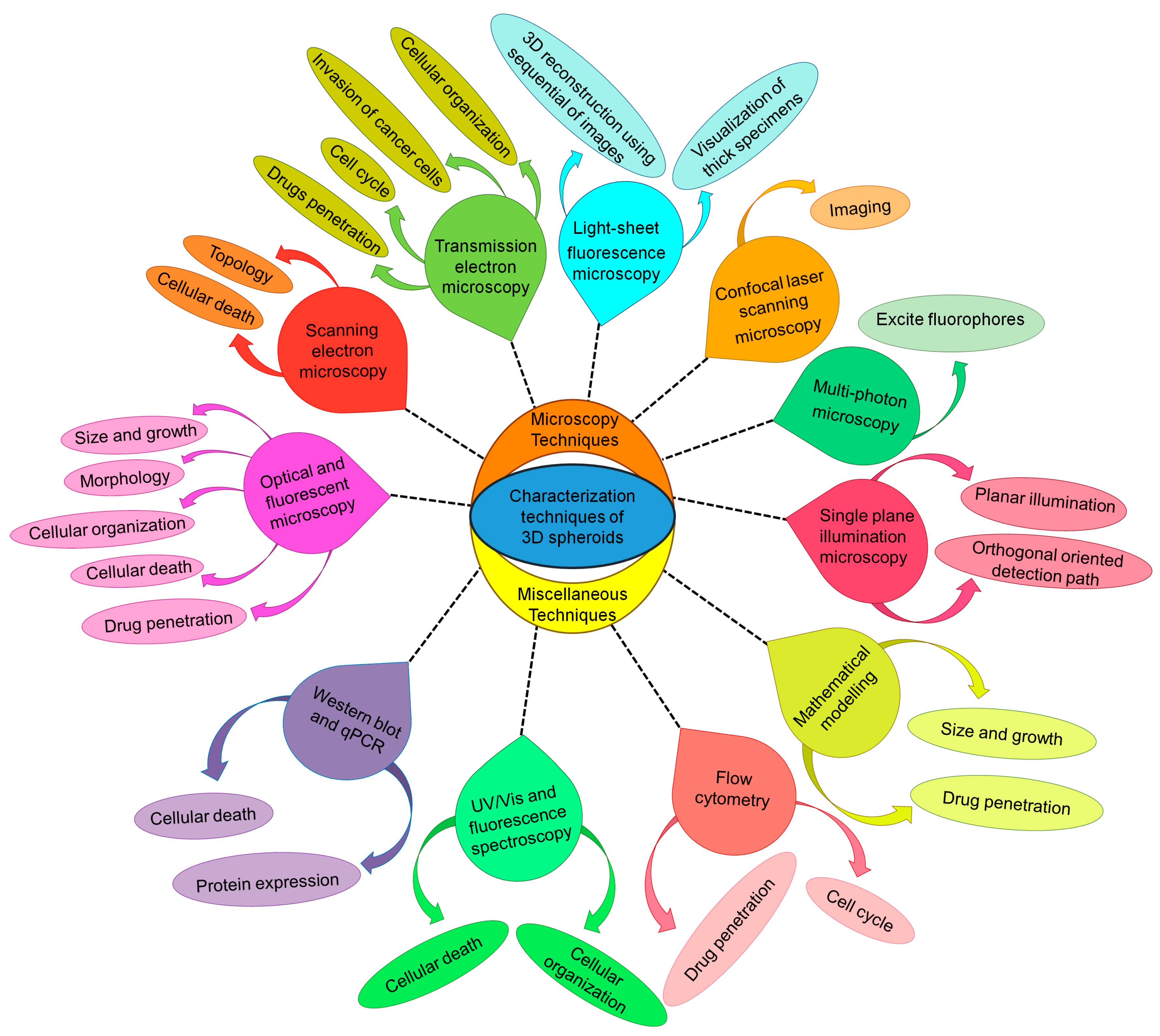 Cancers 15 04846 g002