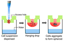 Cancers 15 04846 i006