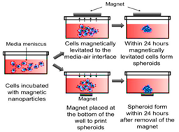 Cancers 15 04846 i008