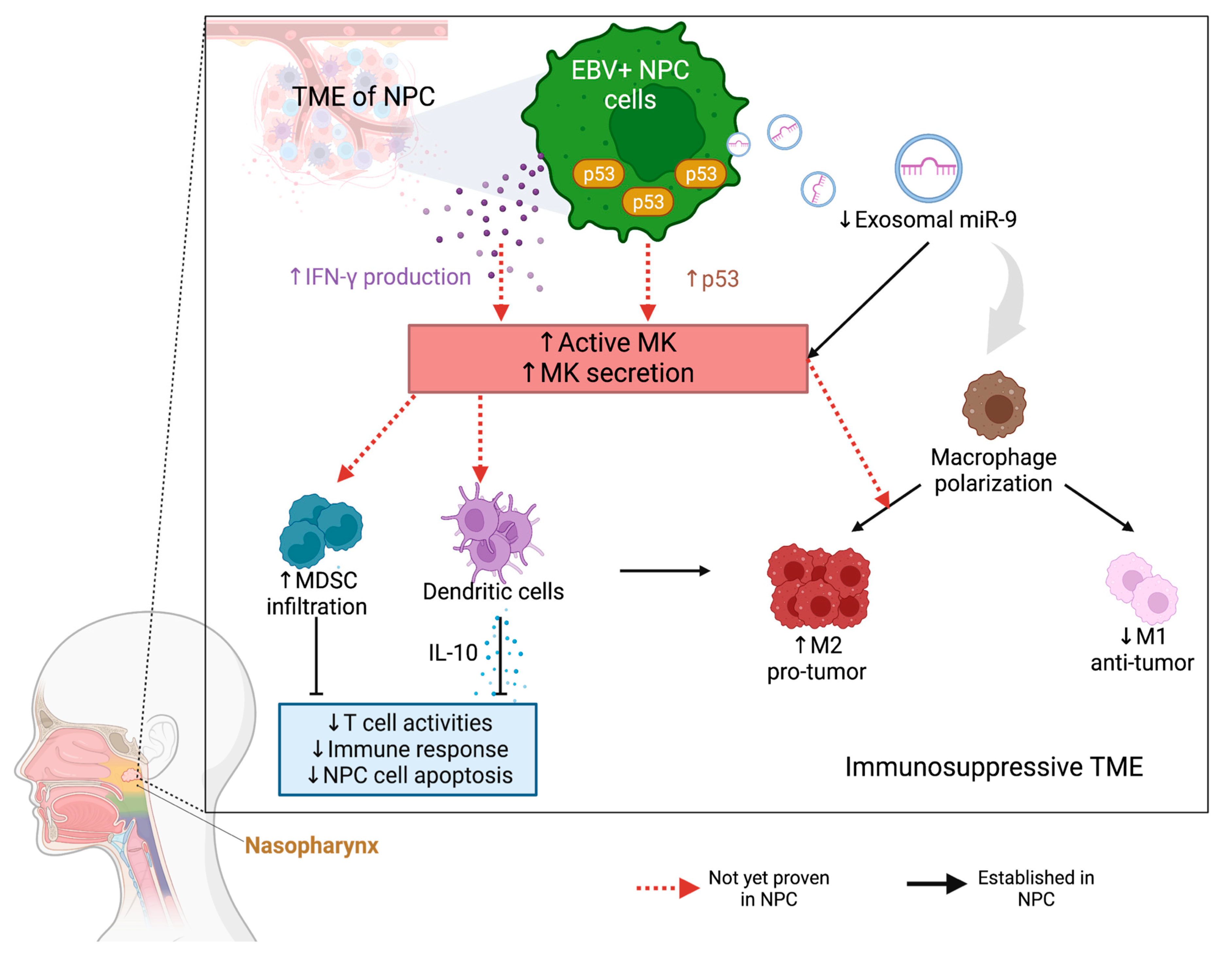 Cancers 15 04850 g002