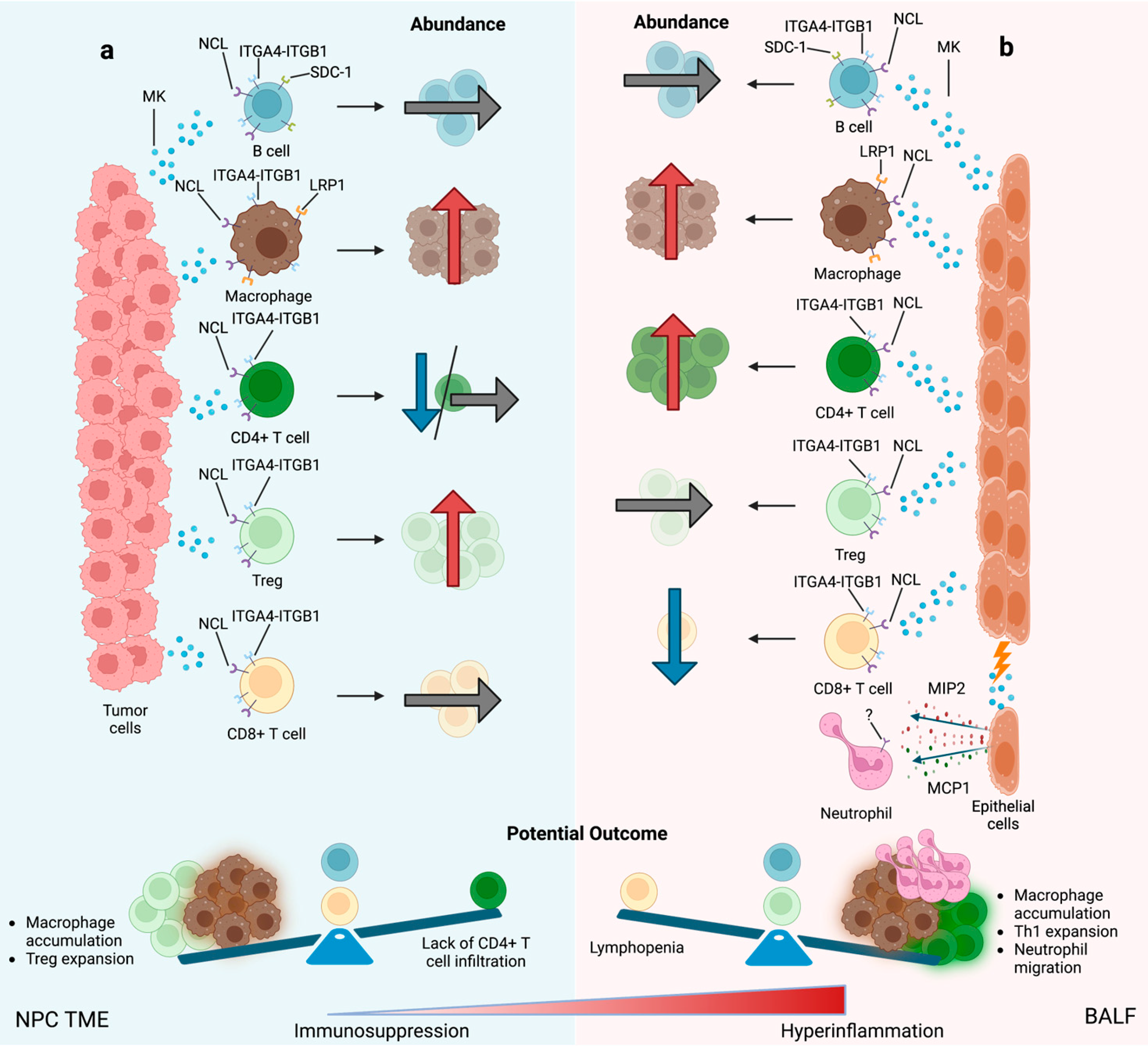 Cancers 15 04850 g005