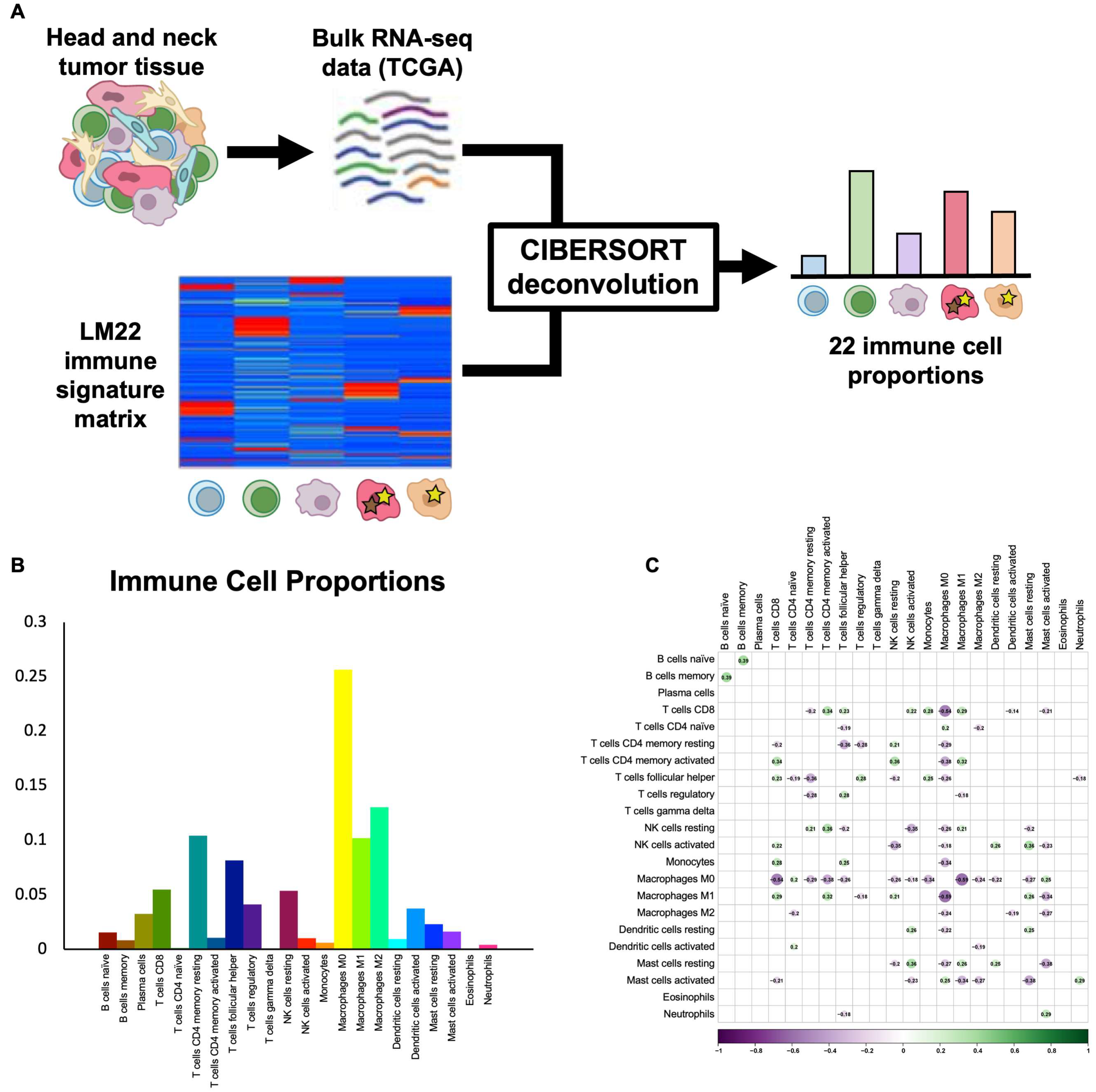 Cancers 15 04855 g001