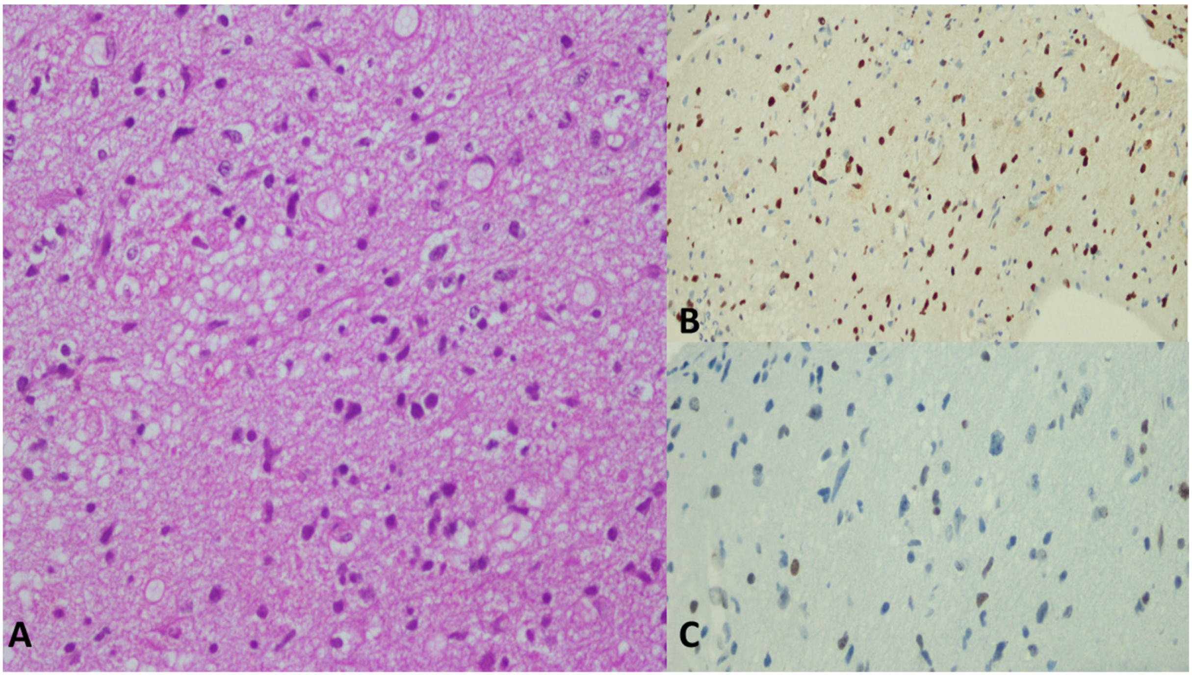 Cancers 15 04869 g006