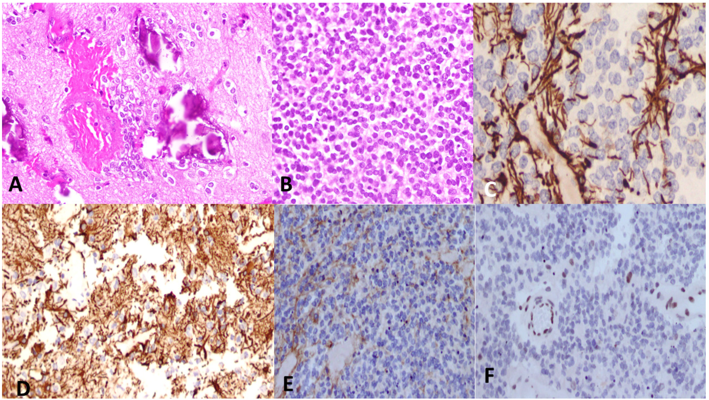 Cancers 15 04869 g007