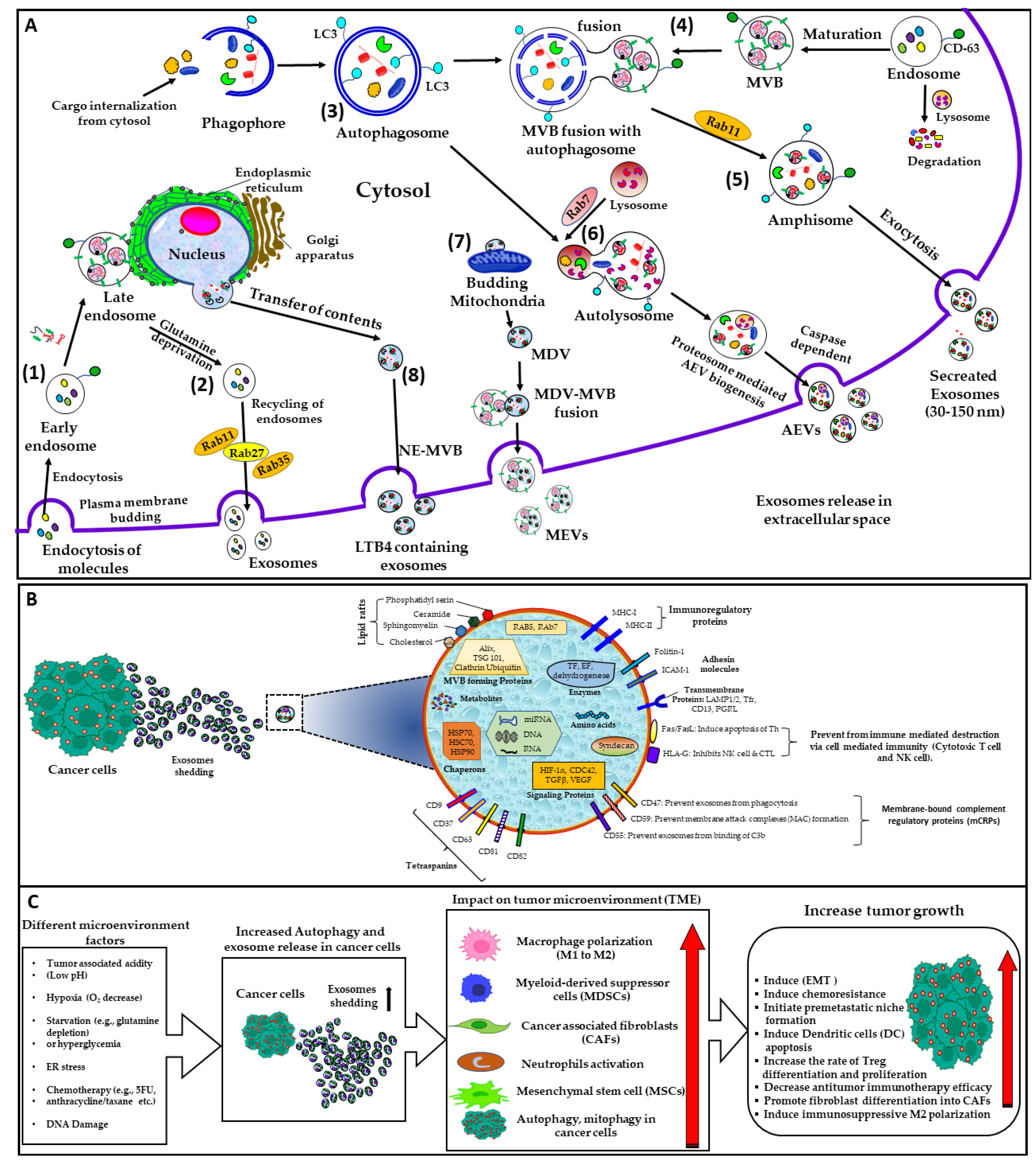 Cancers 15 04879 g001
