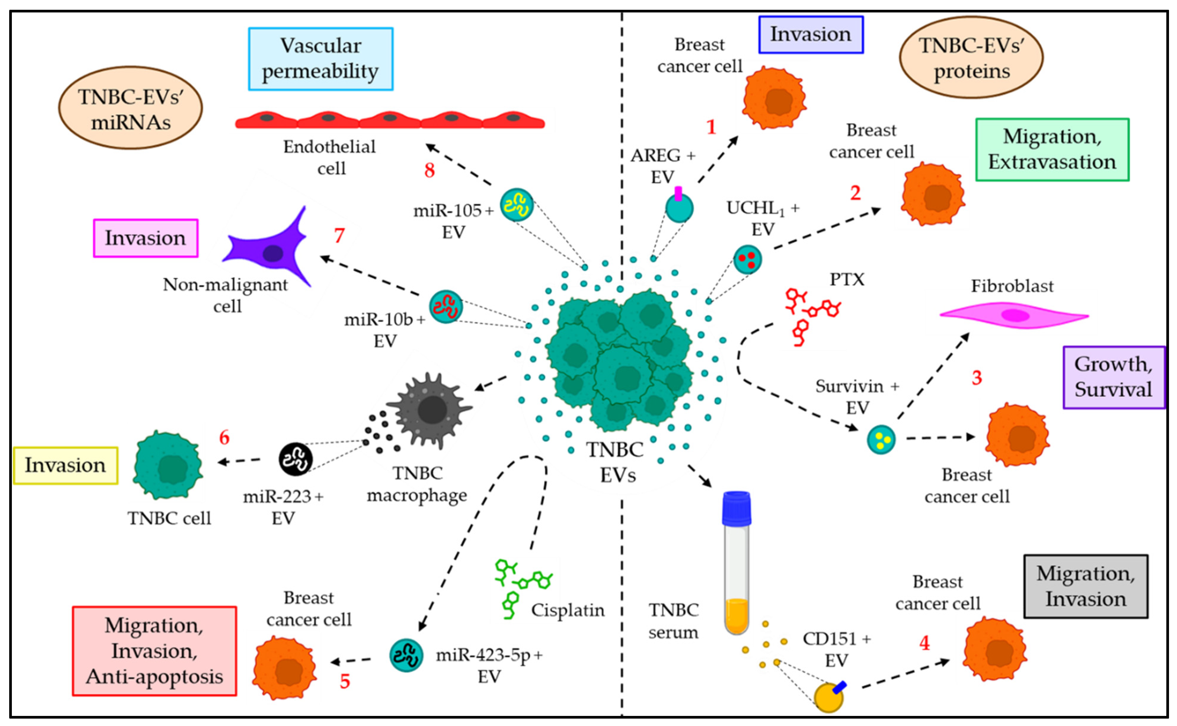 Cancers 15 04879 g006