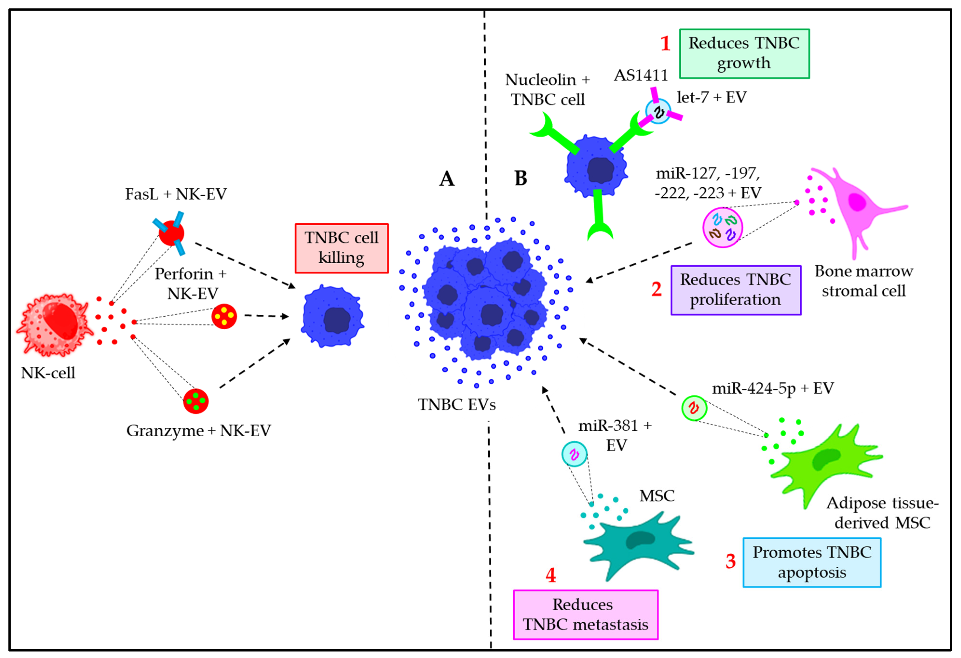Cancers 15 04879 g008