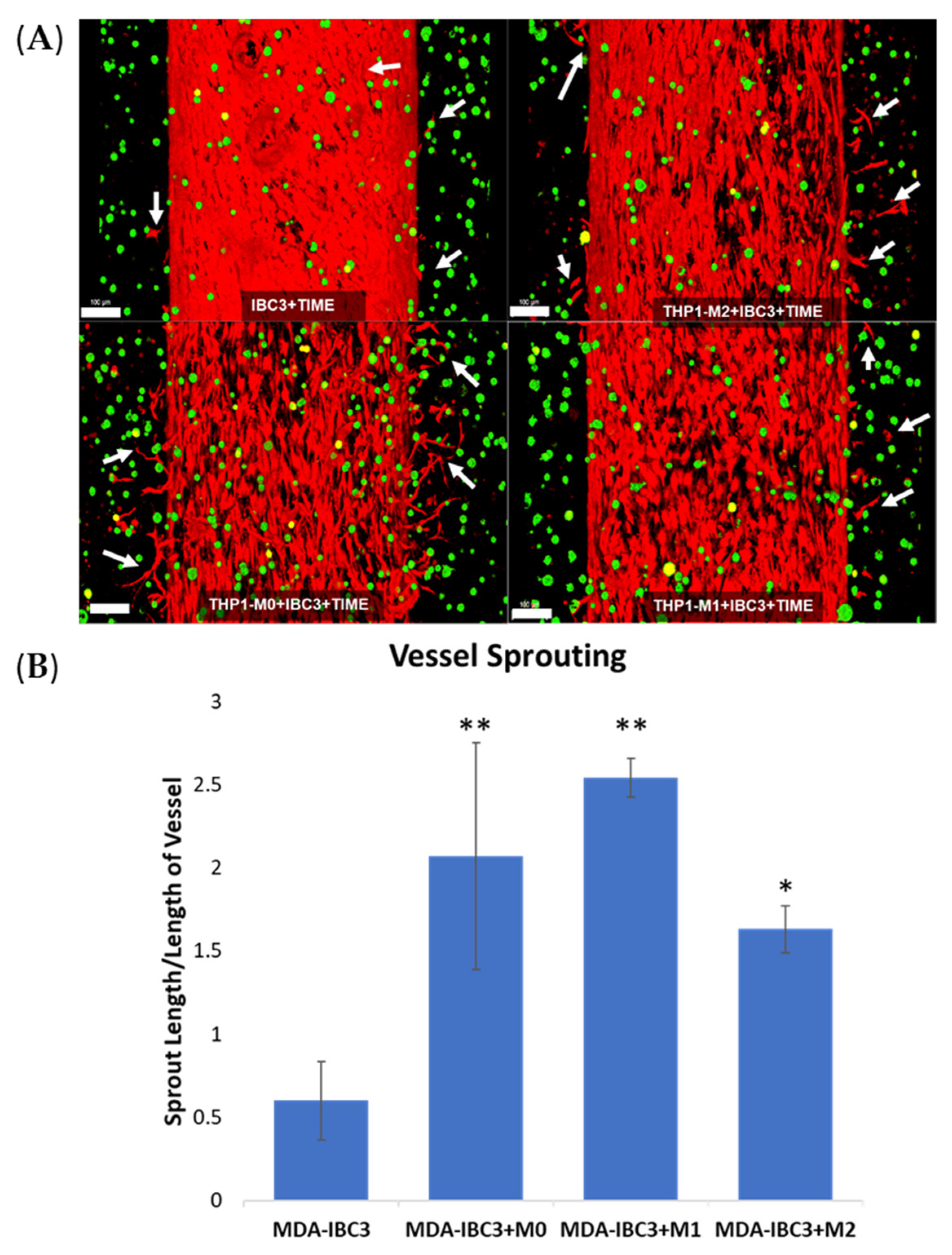 Cancers 15 04883 g001