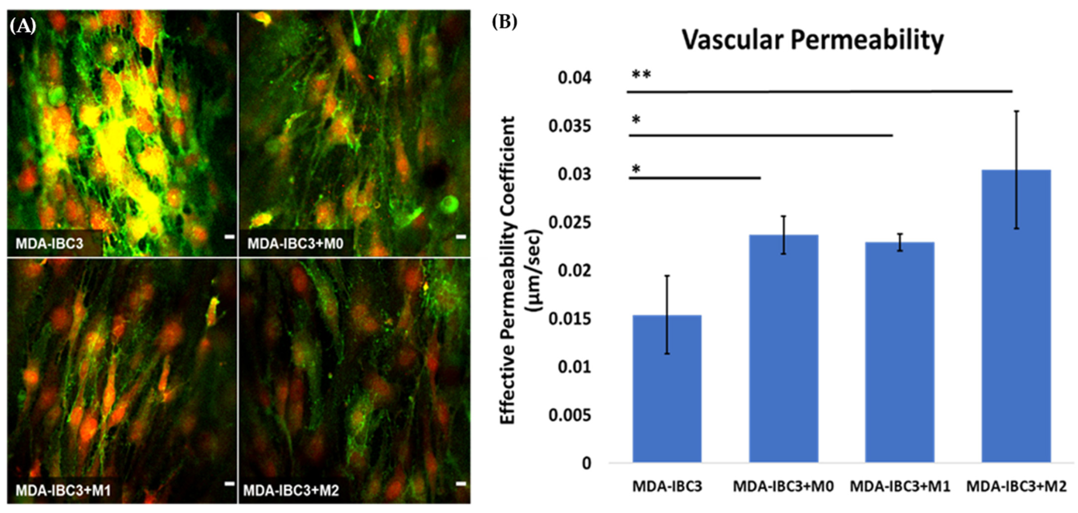 Cancers 15 04883 g003