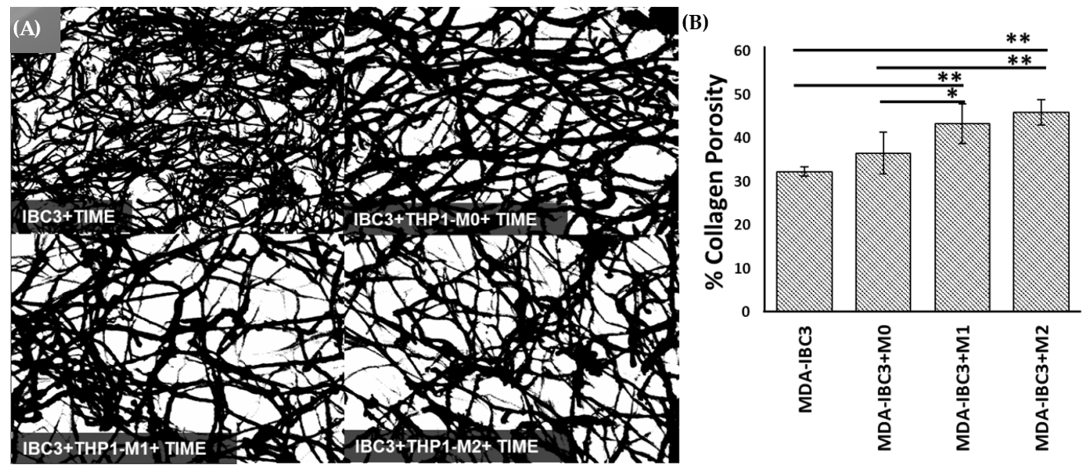 Cancers 15 04883 g004