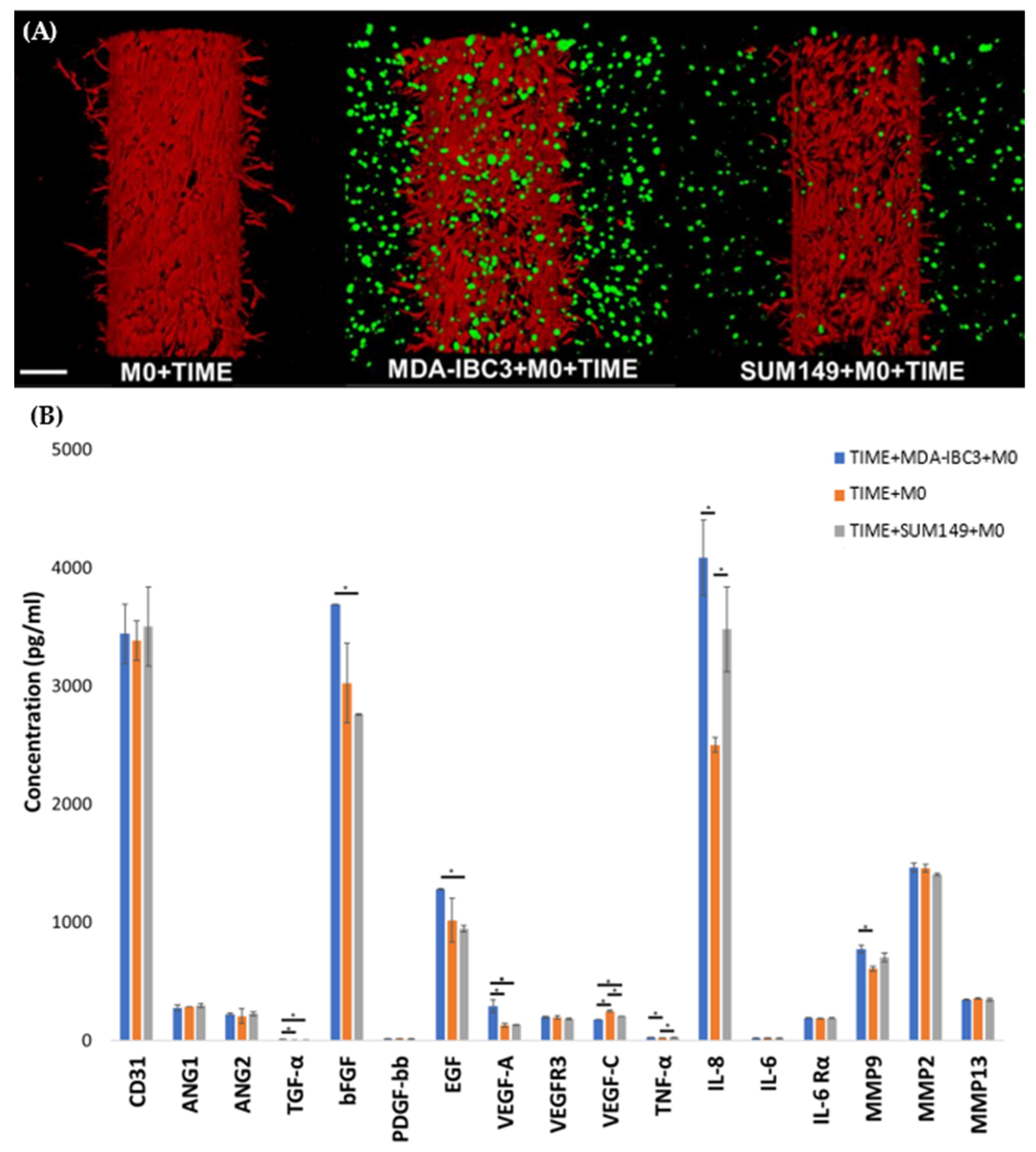 Cancers 15 04883 g006