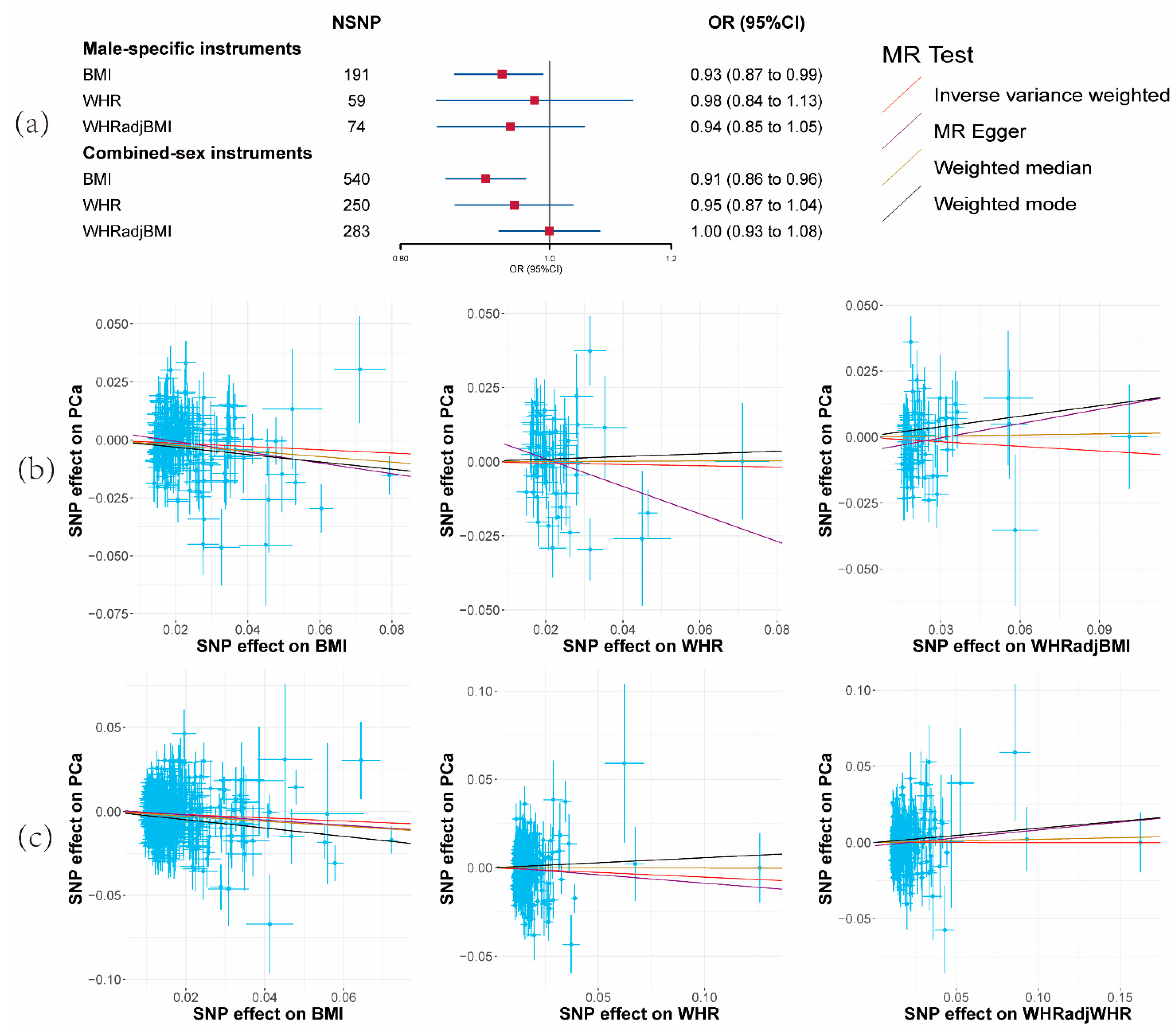 Cancers 15 04884 g001