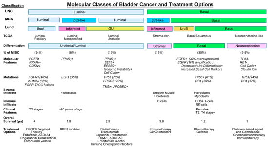 Cancers 15 04886 g001