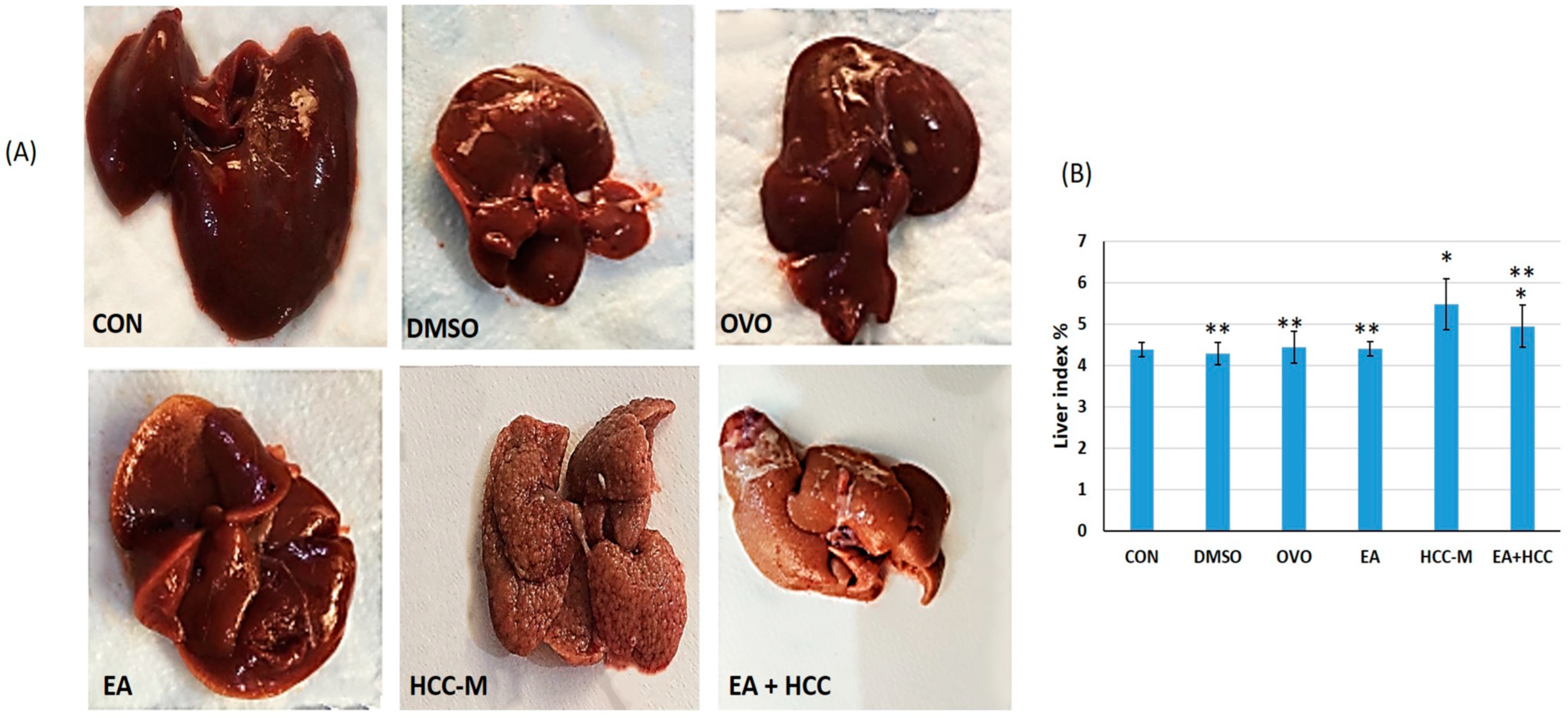 Cancers 15 04891 g003