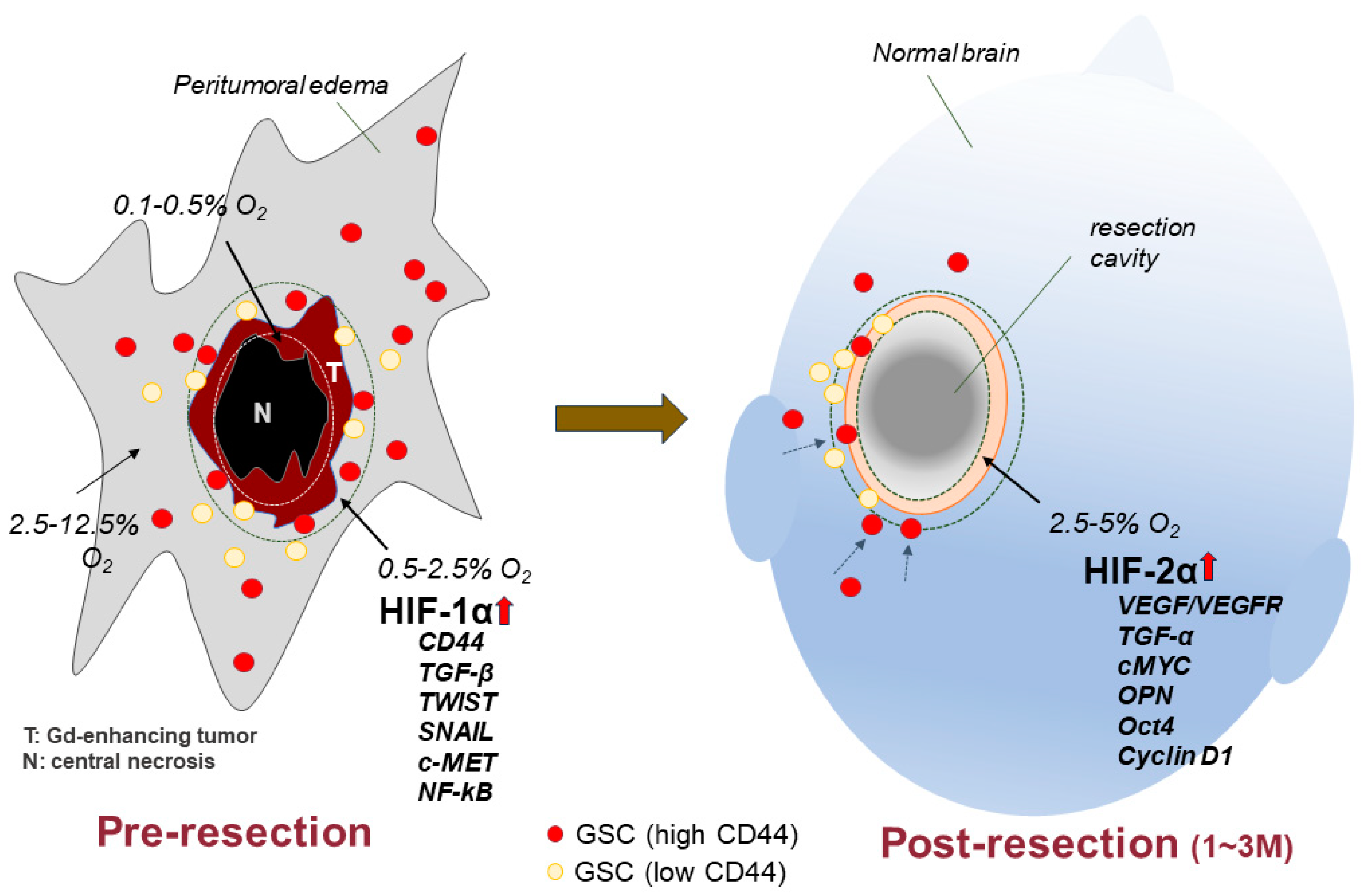 Cancers 15 04898 g006