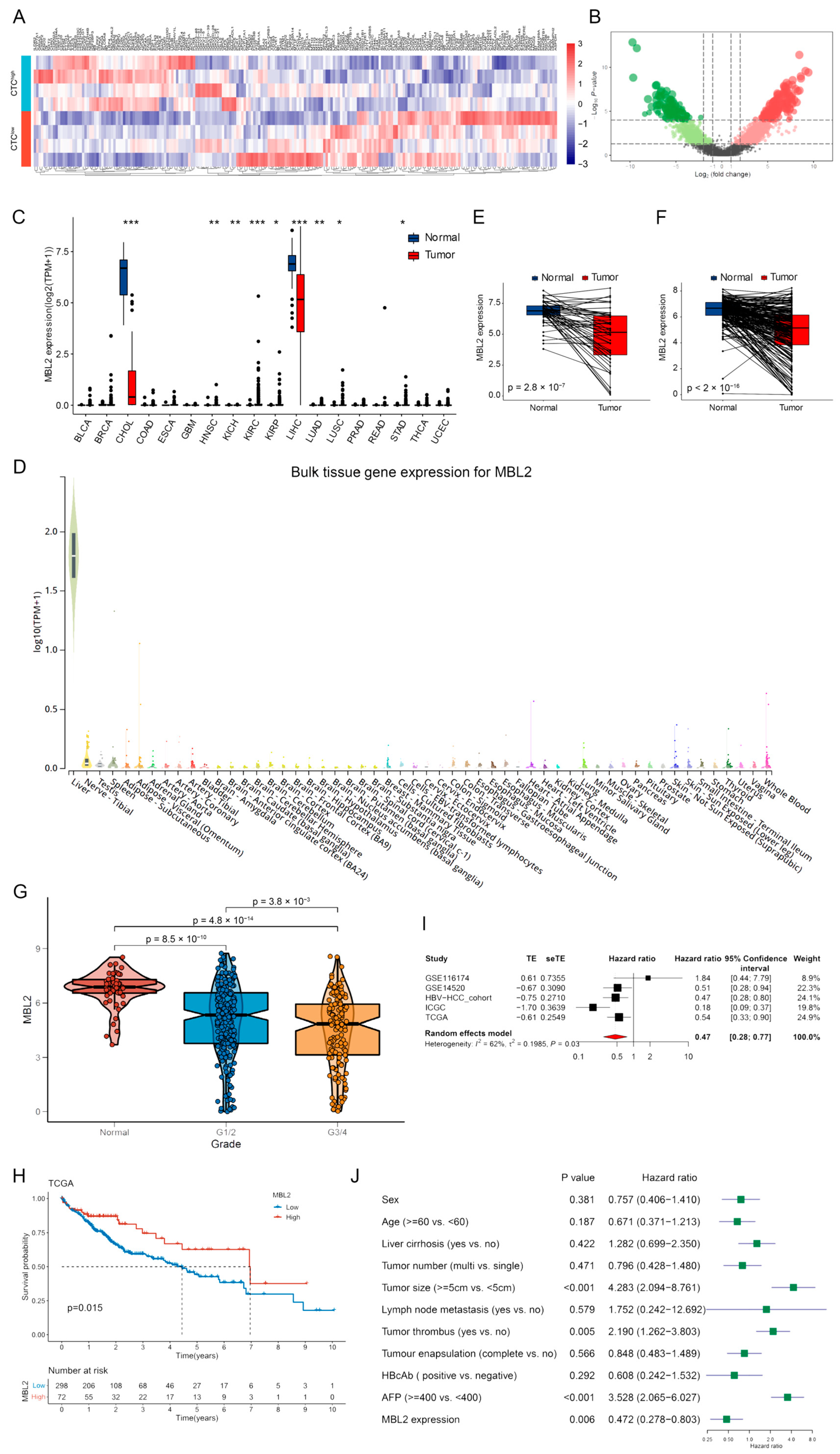 Cancers 15 04900 g001