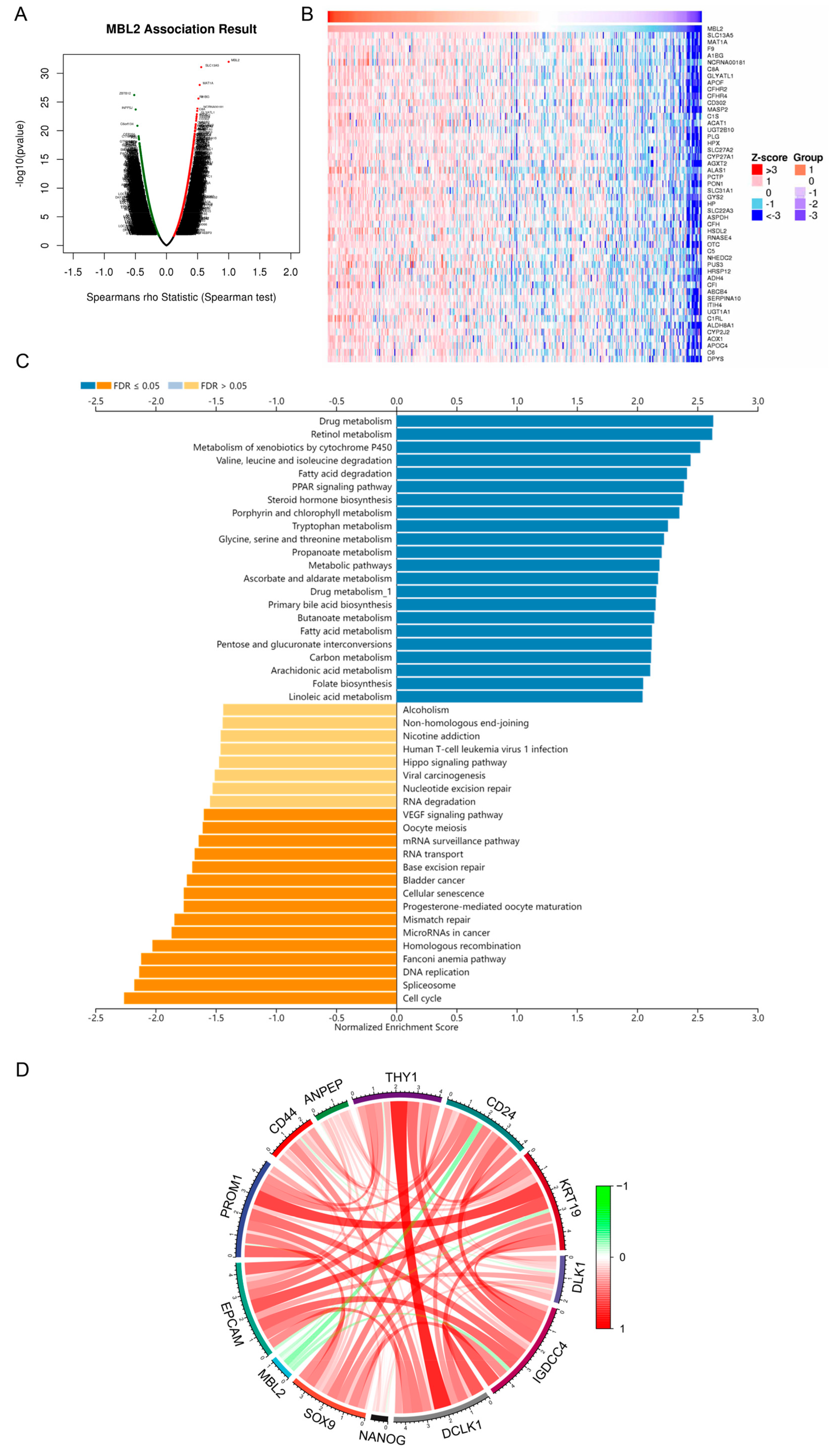 Cancers 15 04900 g002