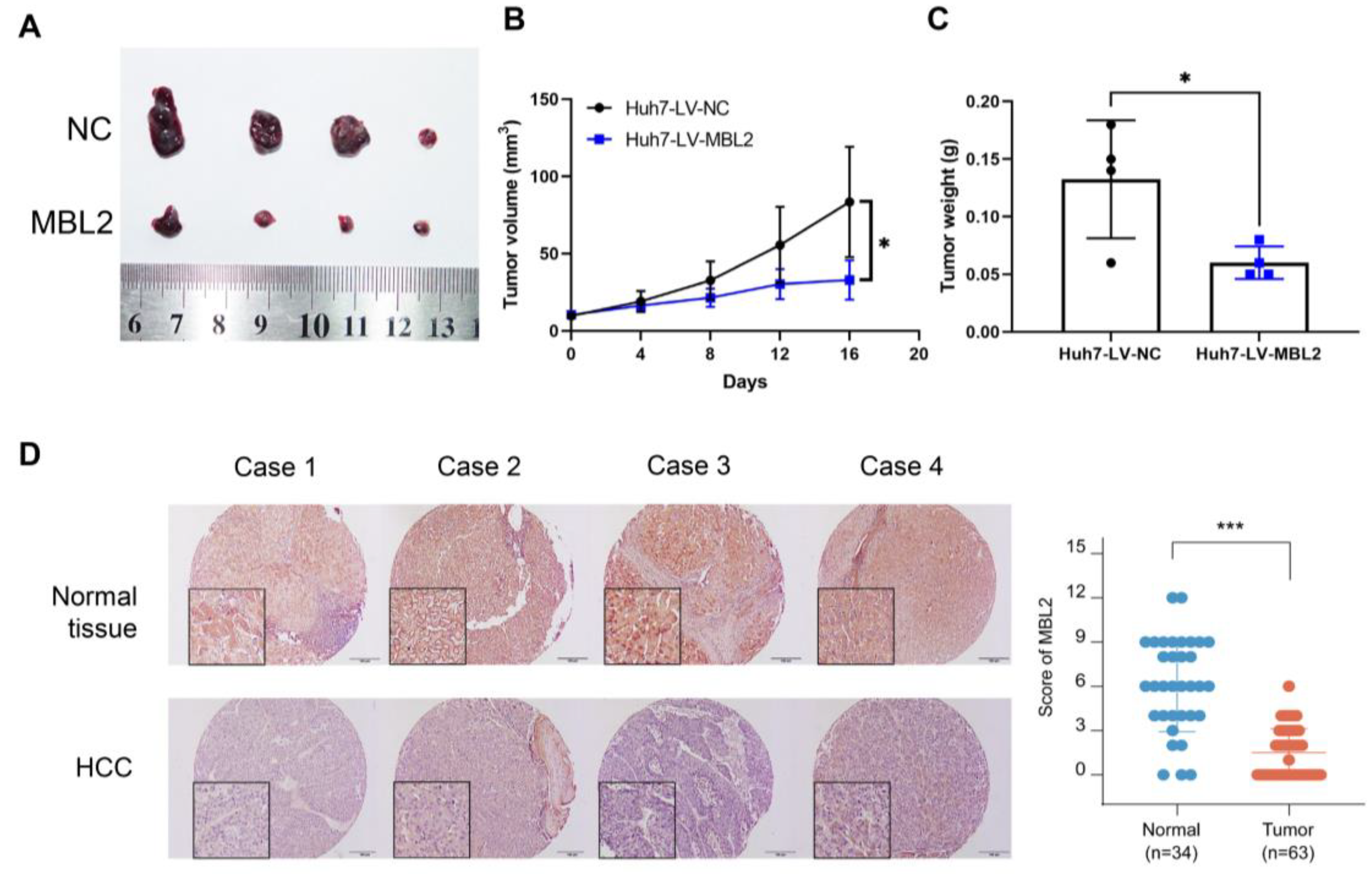 Cancers 15 04900 g005