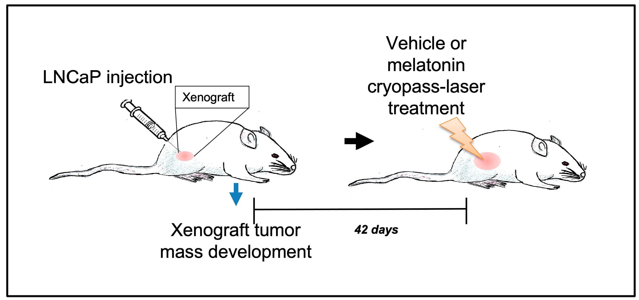 Cancers 15 04908 g001 Cancers 15 04908 g001
