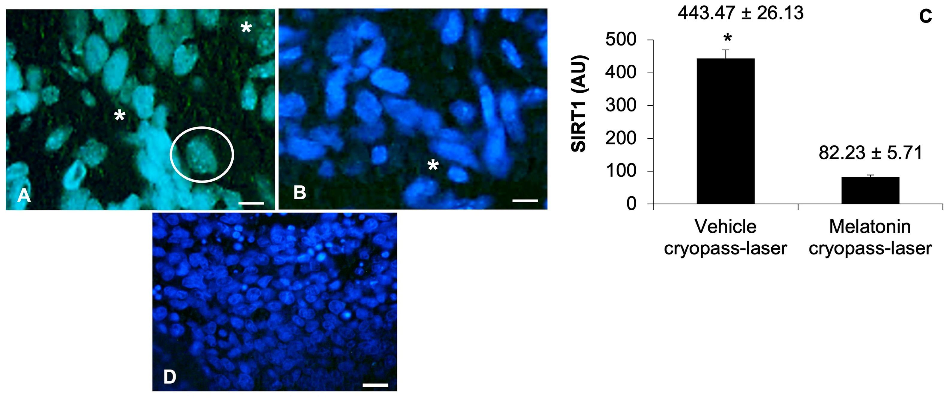 Cancers 15 04908 g005 Cancers 15 04908 g005