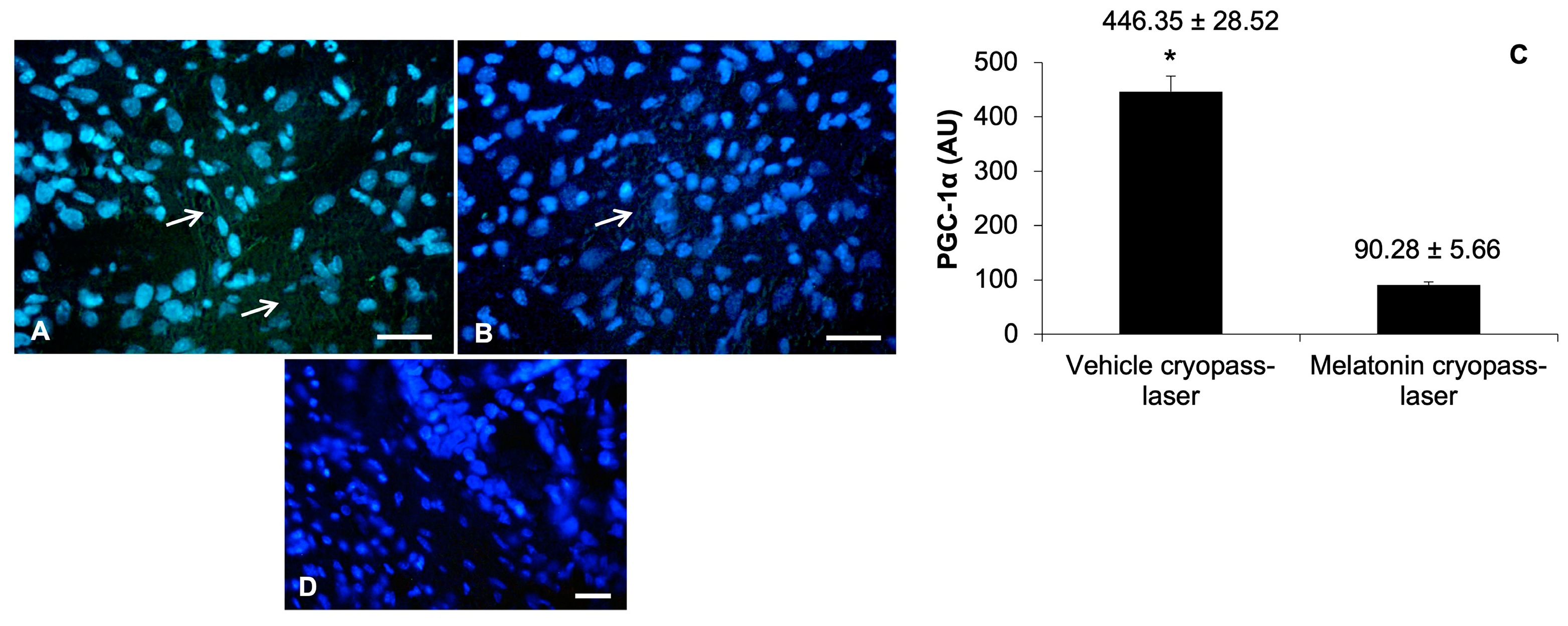 Cancers 15 04908 g006 Cancers 15 04908 g006