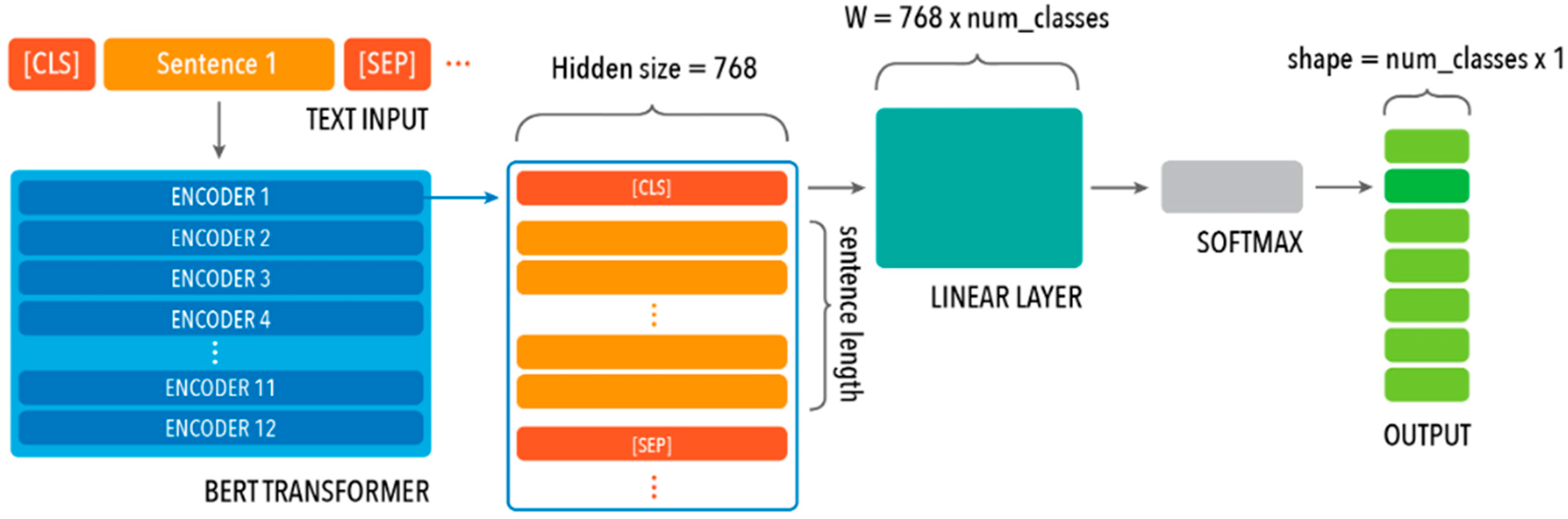 Cancers 15 04909 g002