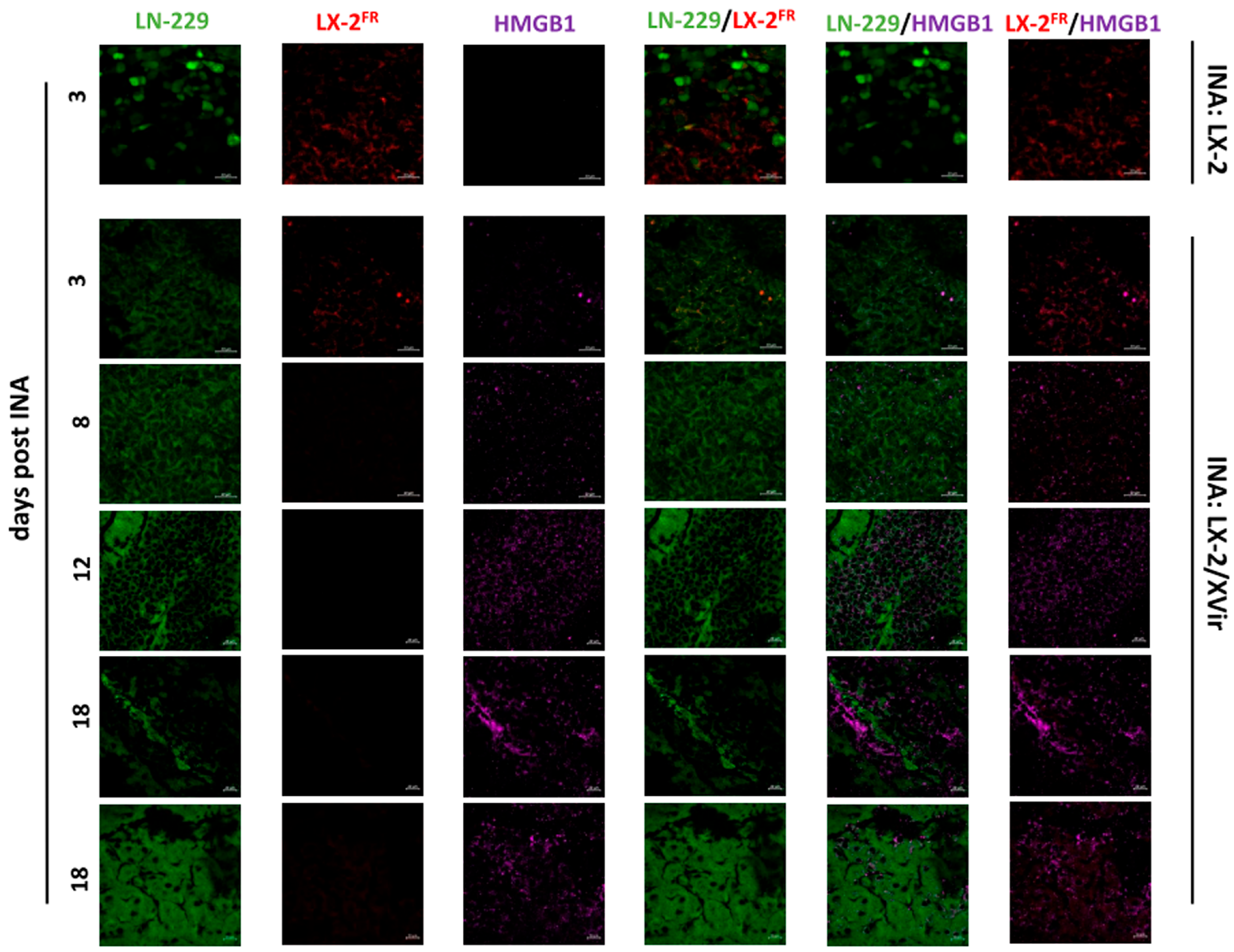 Cancers 15 04912 g003