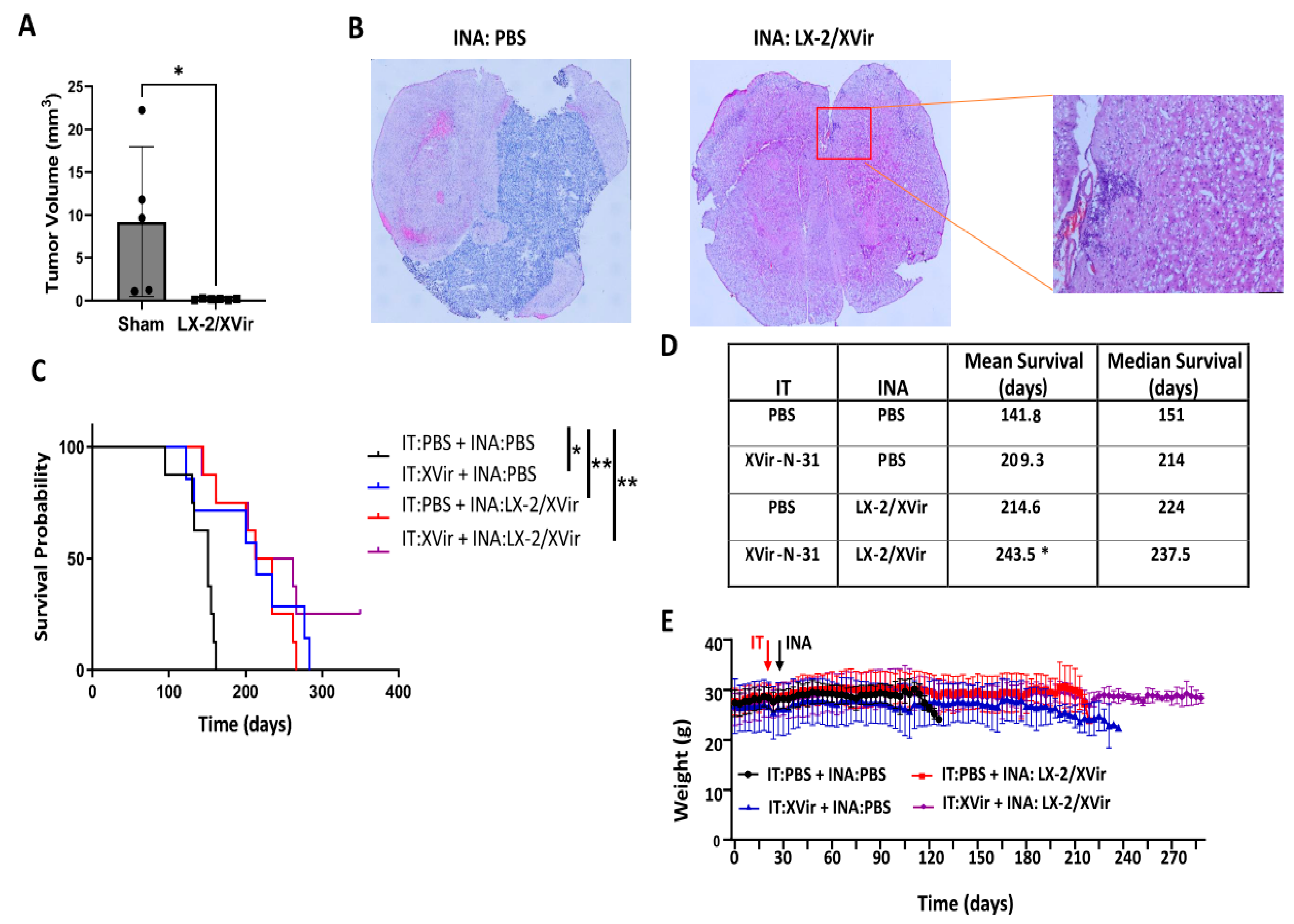 Cancers 15 04912 g006