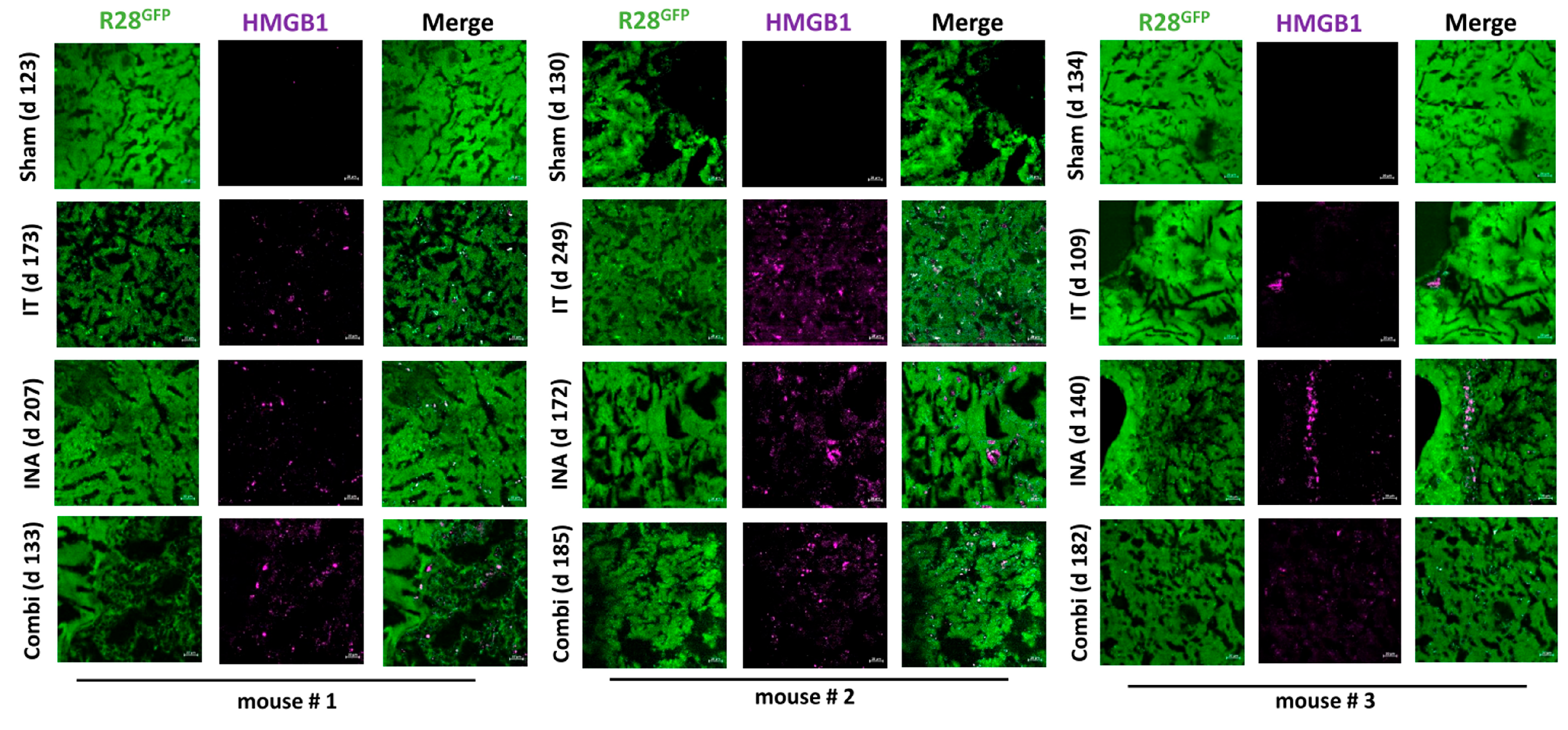 Cancers 15 04912 g008
