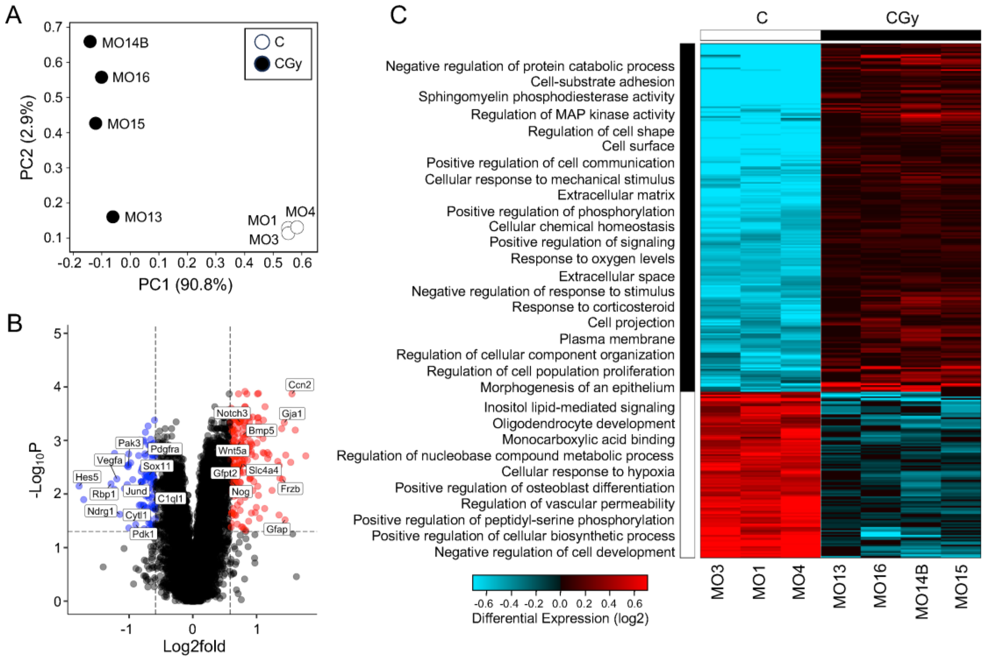Cancers 15 04916 g003