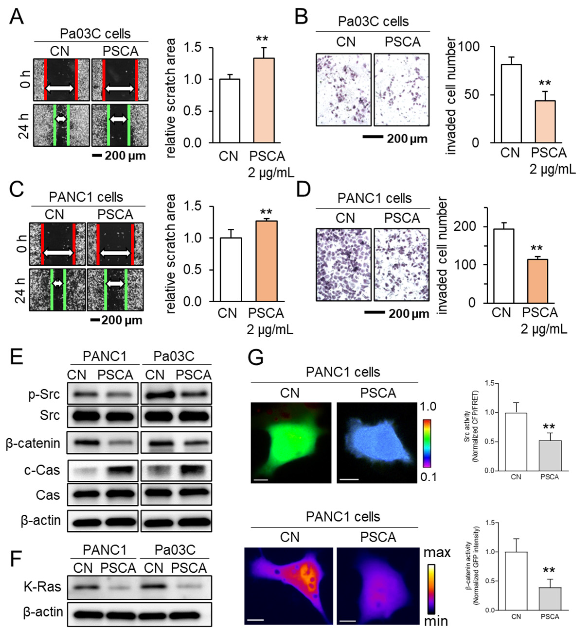 Cancers 15 04917 g002