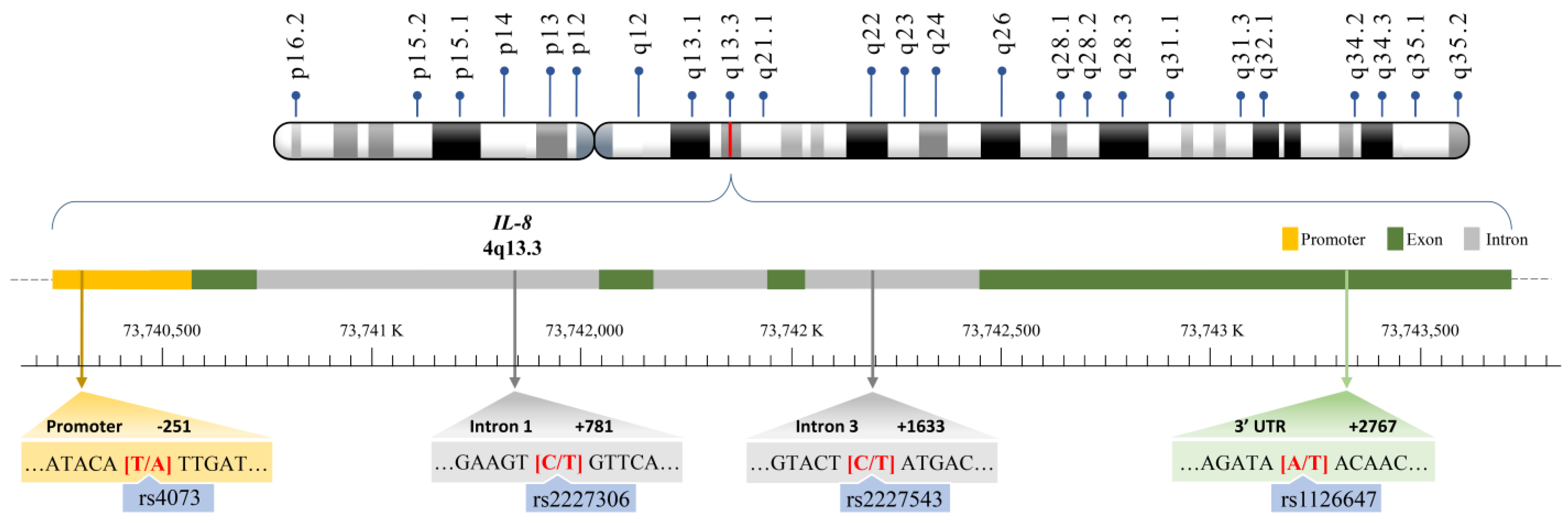 Cancers 15 04921 g001