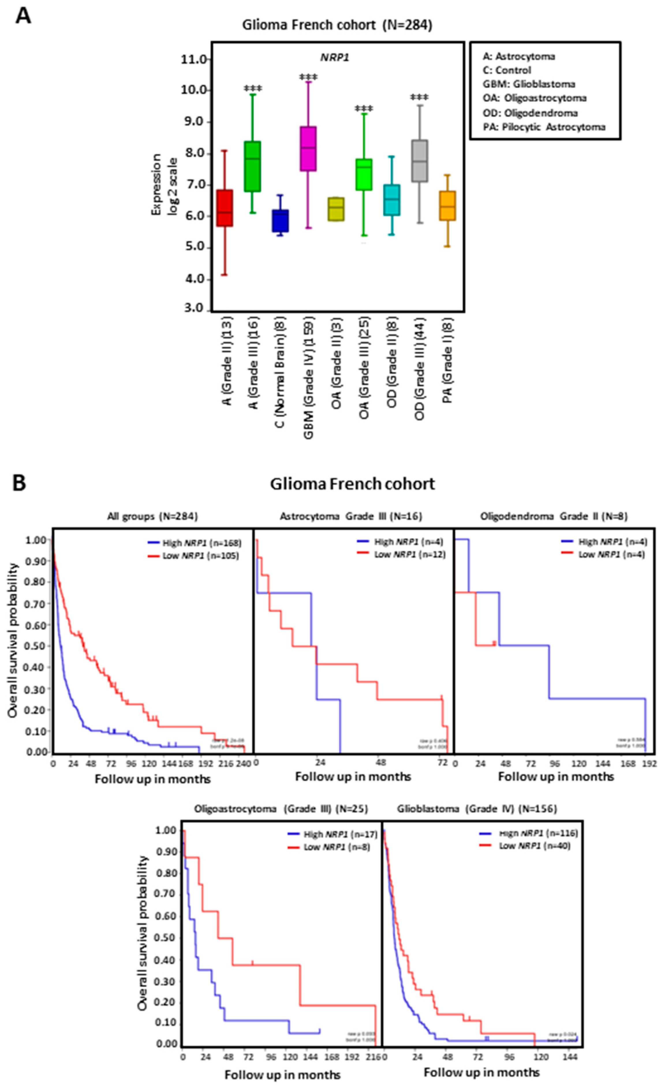 Cancers 15 04922 g001