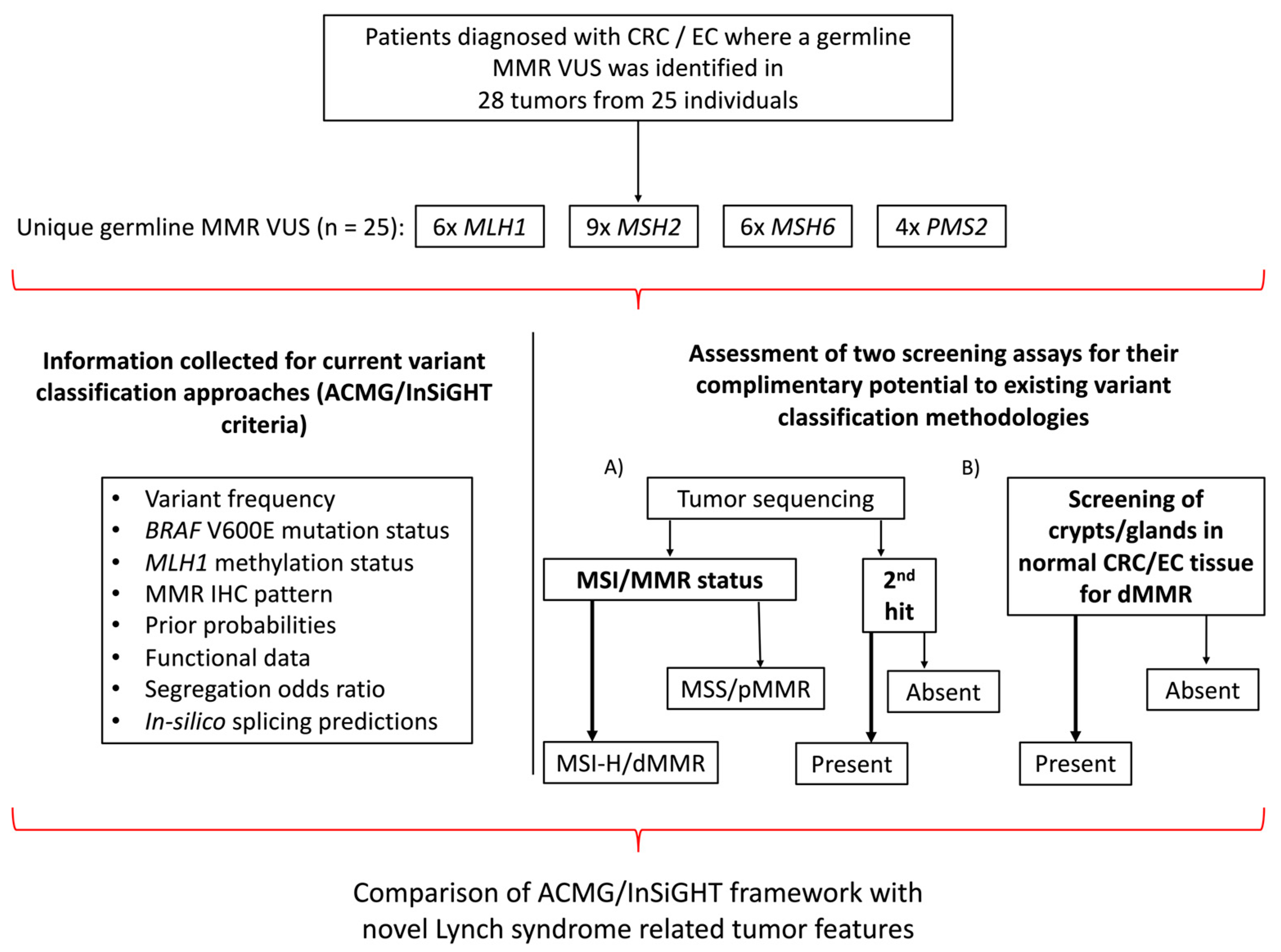 Cancers 15 04925 g001