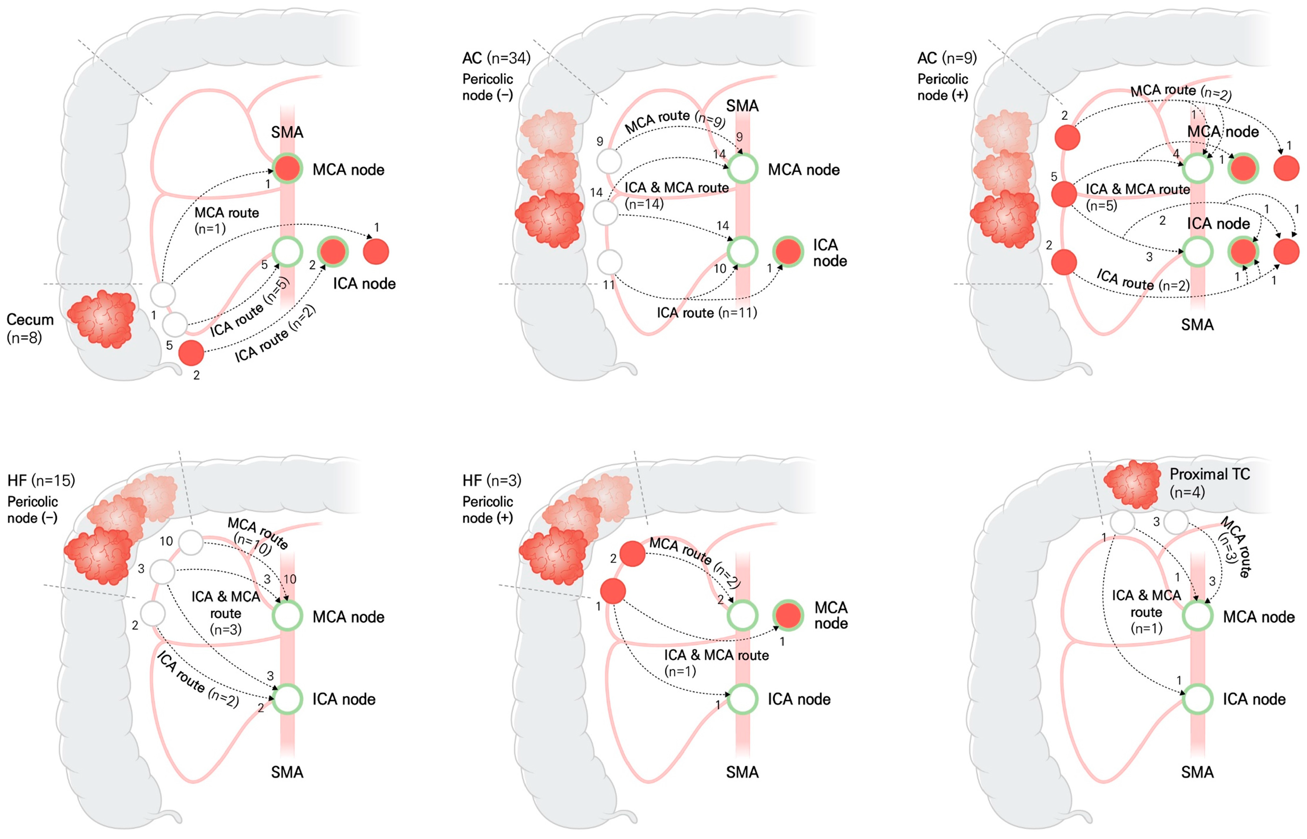 Cancers 15 04927 g003