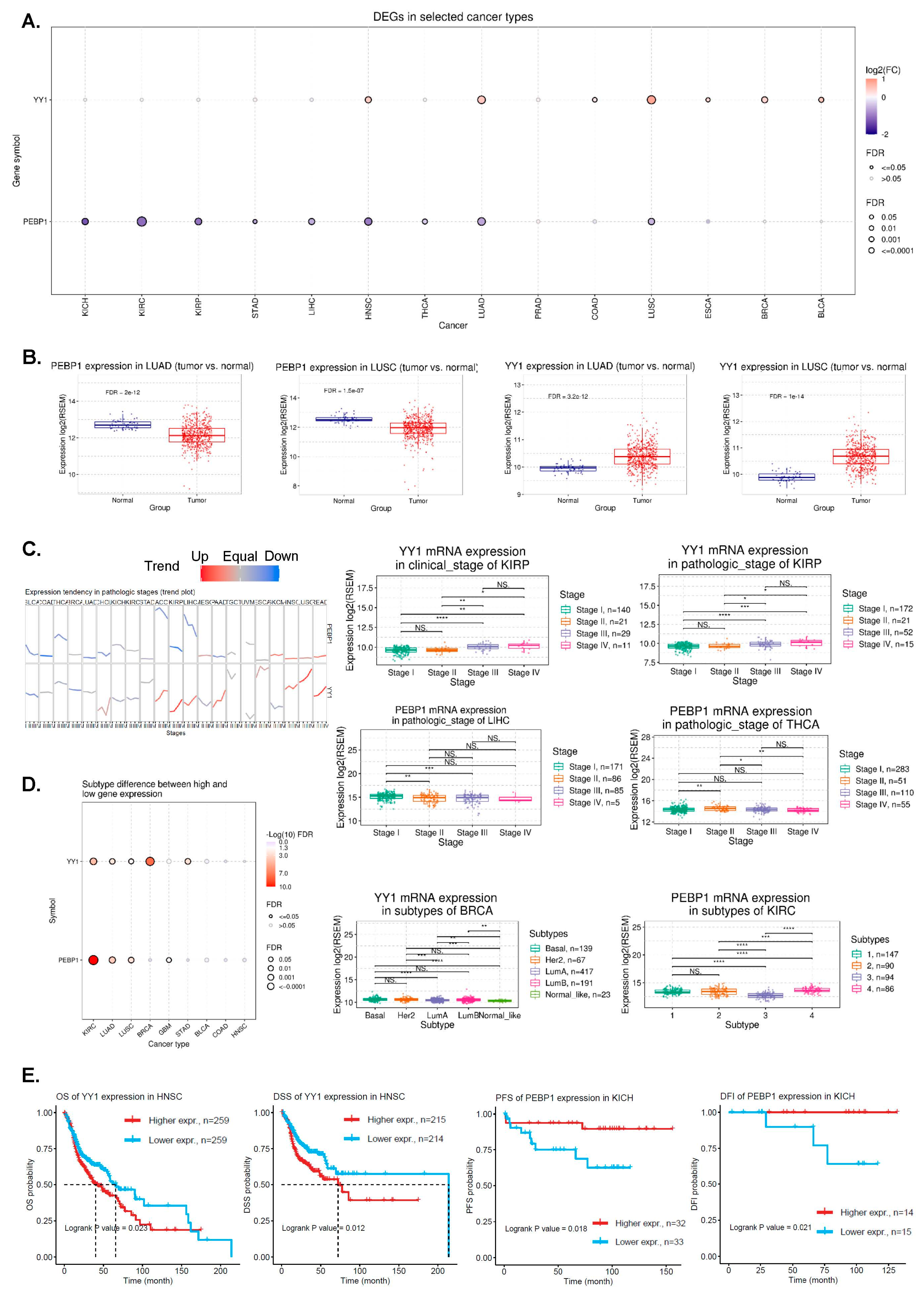 Cancers 15 04932 g001