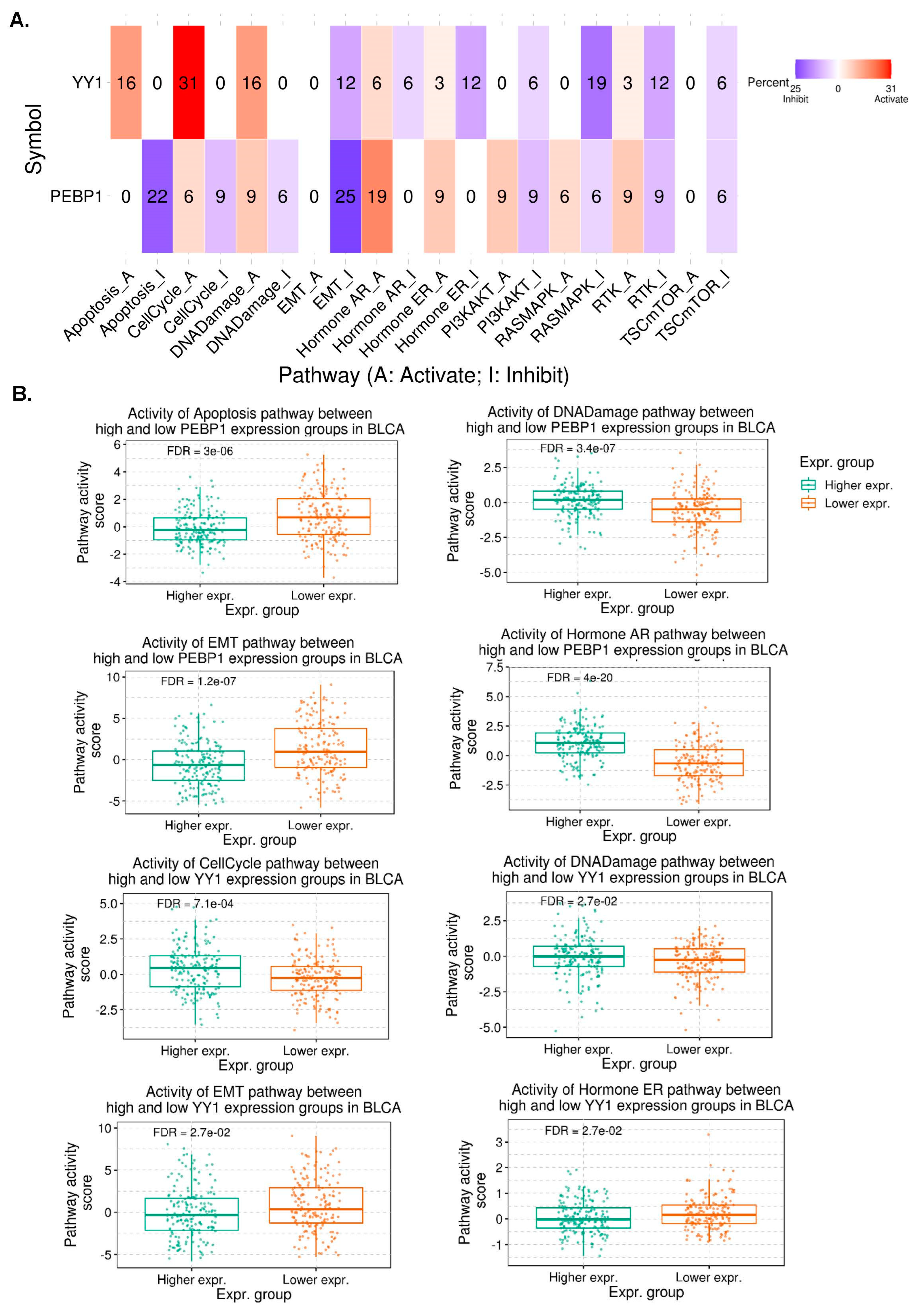 Cancers 15 04932 g002