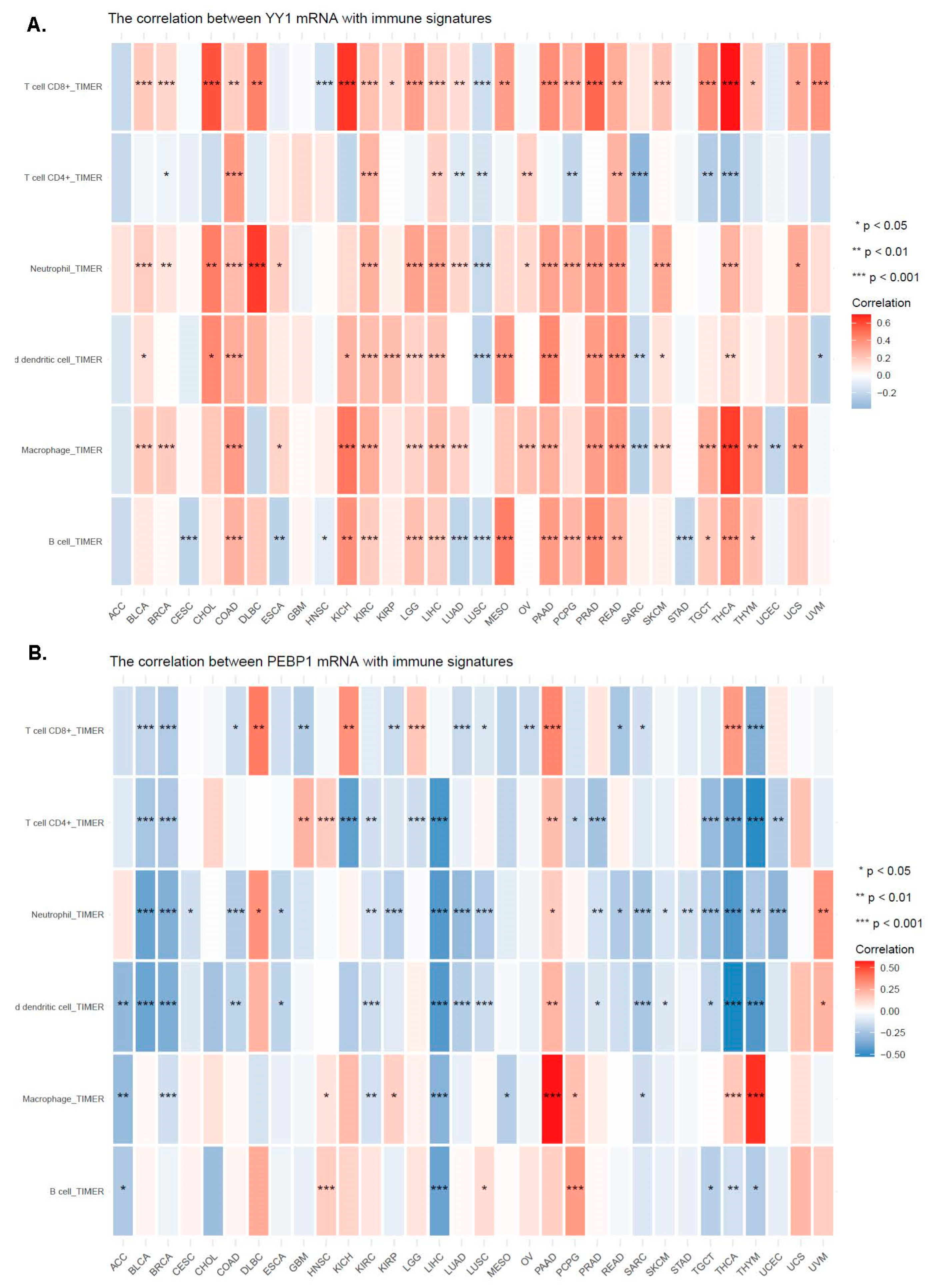 Cancers 15 04932 g006
